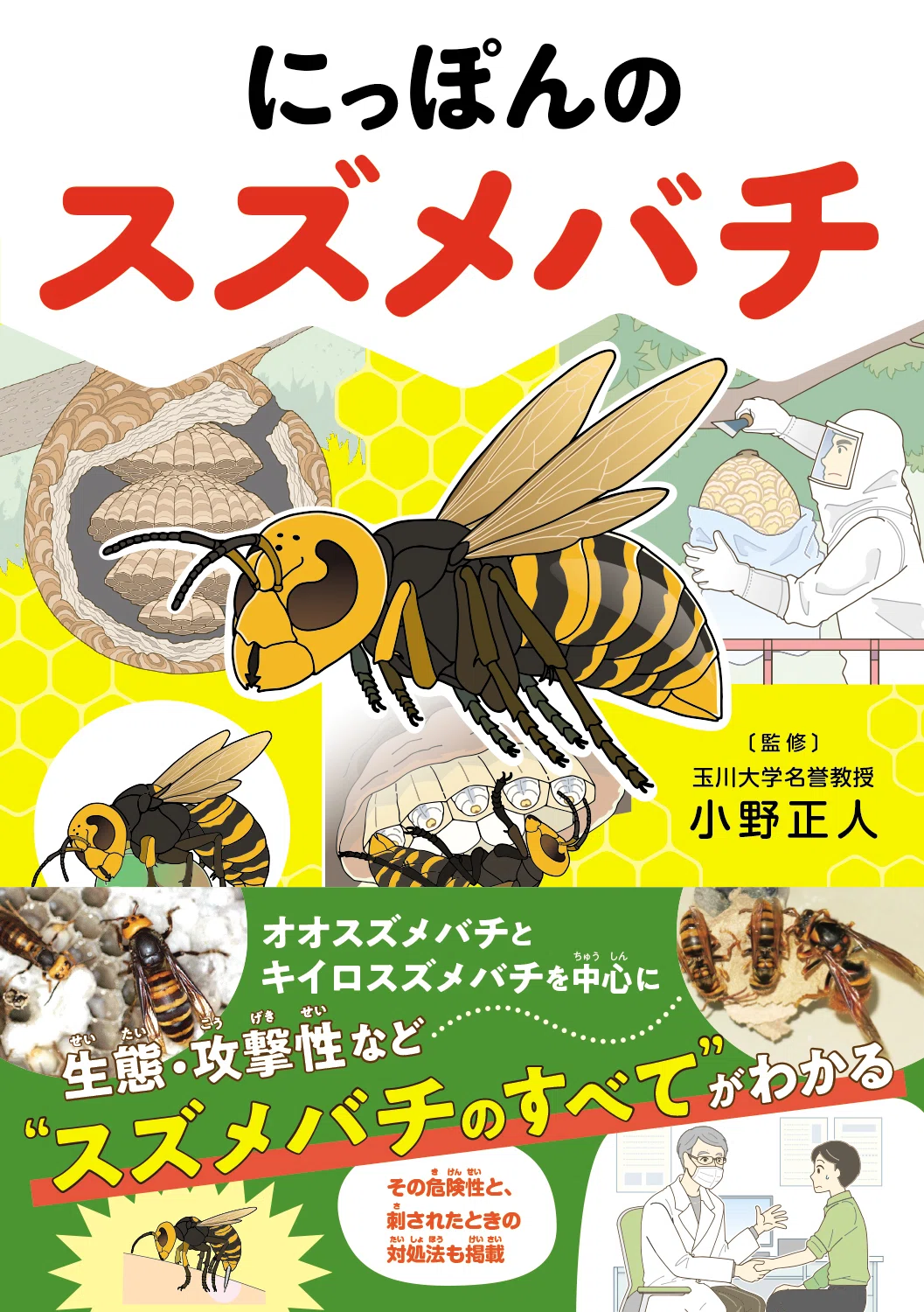 スズメバチのすべてが分かる『にっぽんのスズメバチ』9月2日発売｜カンゼン