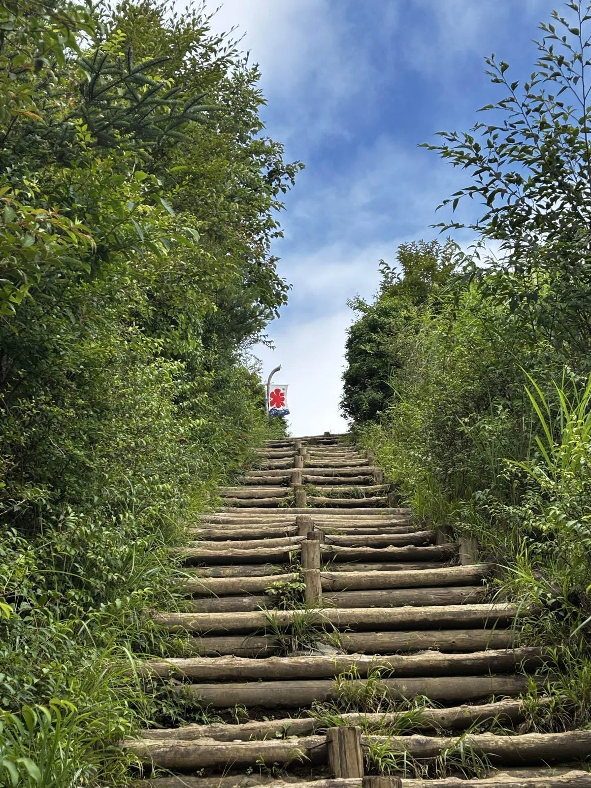 After the Challenge Hike: What I'm Learning Through Mountain Walking｜Kiyoca
