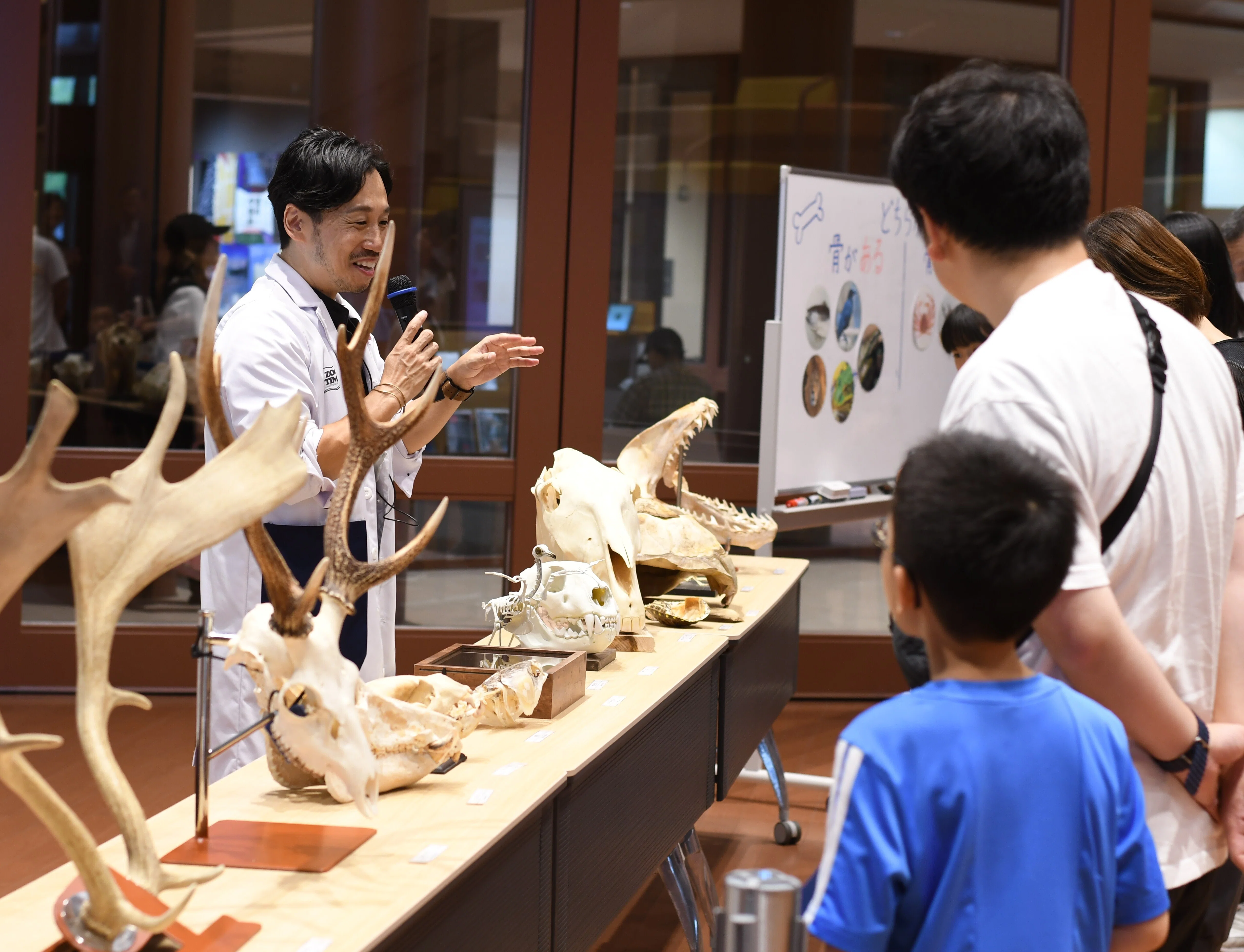写真で見る中医正骨実技　孫維良 骨」を見れば、動物の生き方が見えてくる。骨格標本から学ぶ「動物の