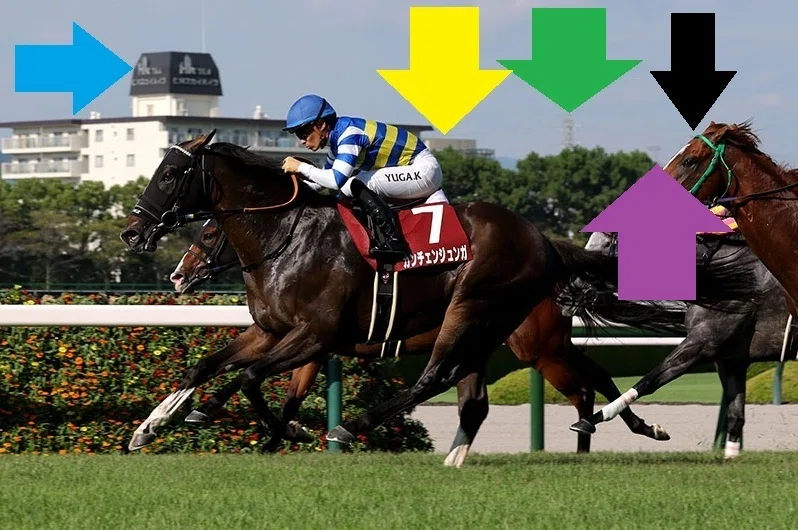 セントウルステークス2026＆紫苑ステークス】ゴッドアイ斎藤のサイン