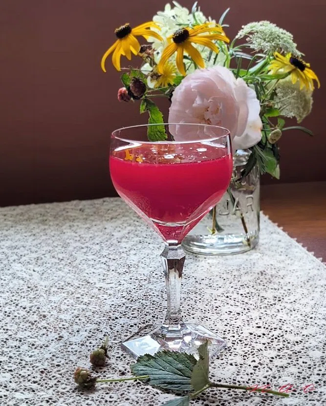 Raspberry Codial Raspberry Cordial Recipe | How to Make the Enchanting Drink from Anne ...