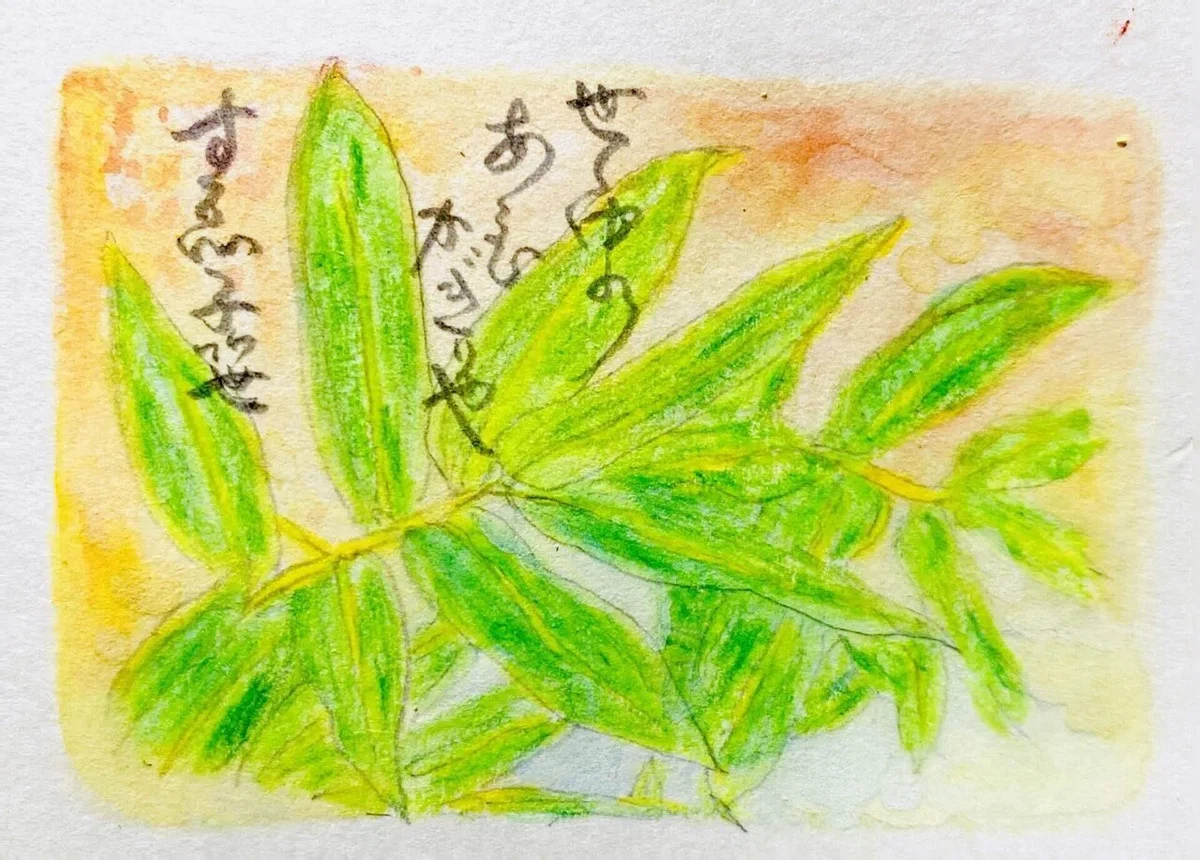 画像