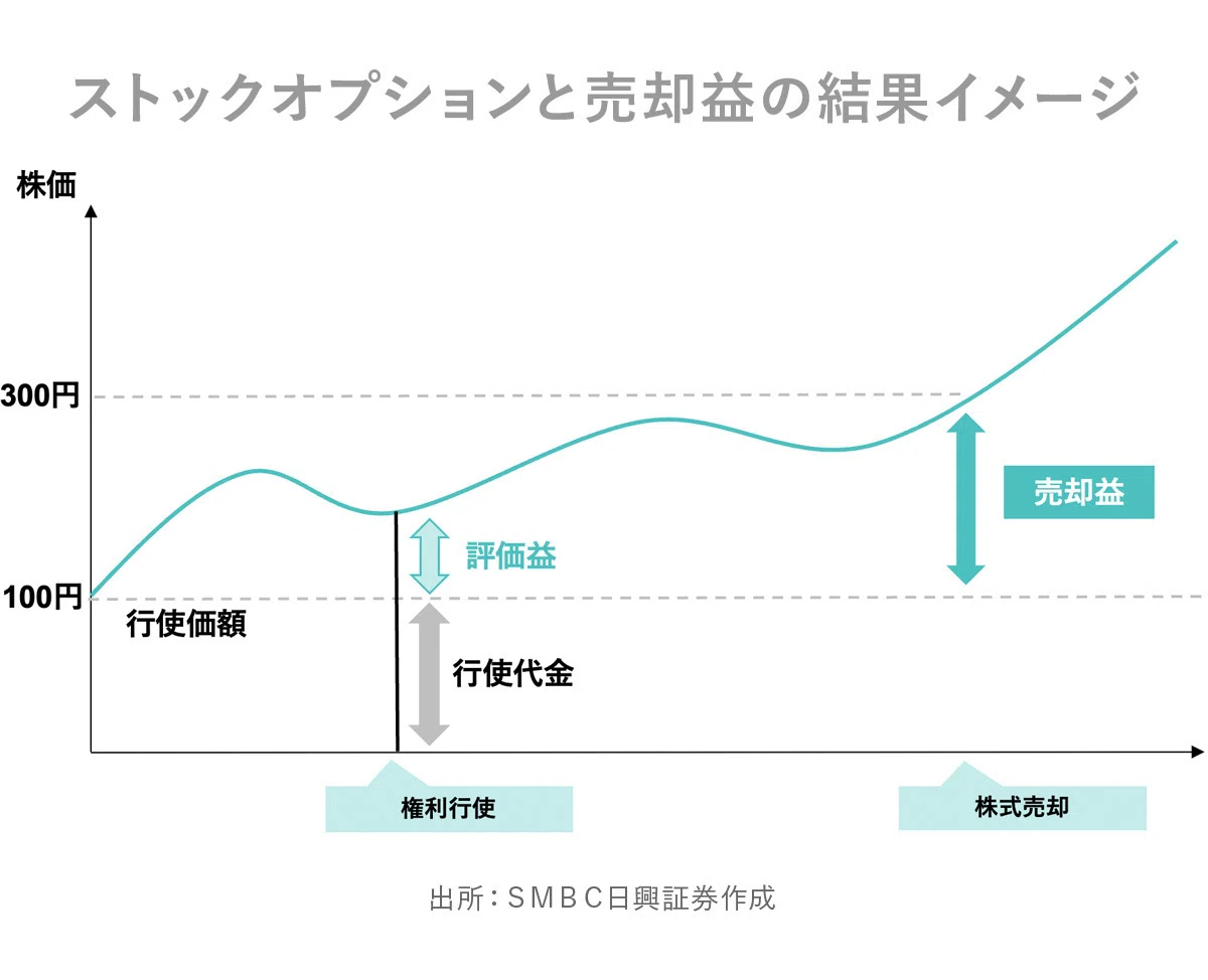 得する? しない? ストックオプションの分かれ目｜日興フロッギー