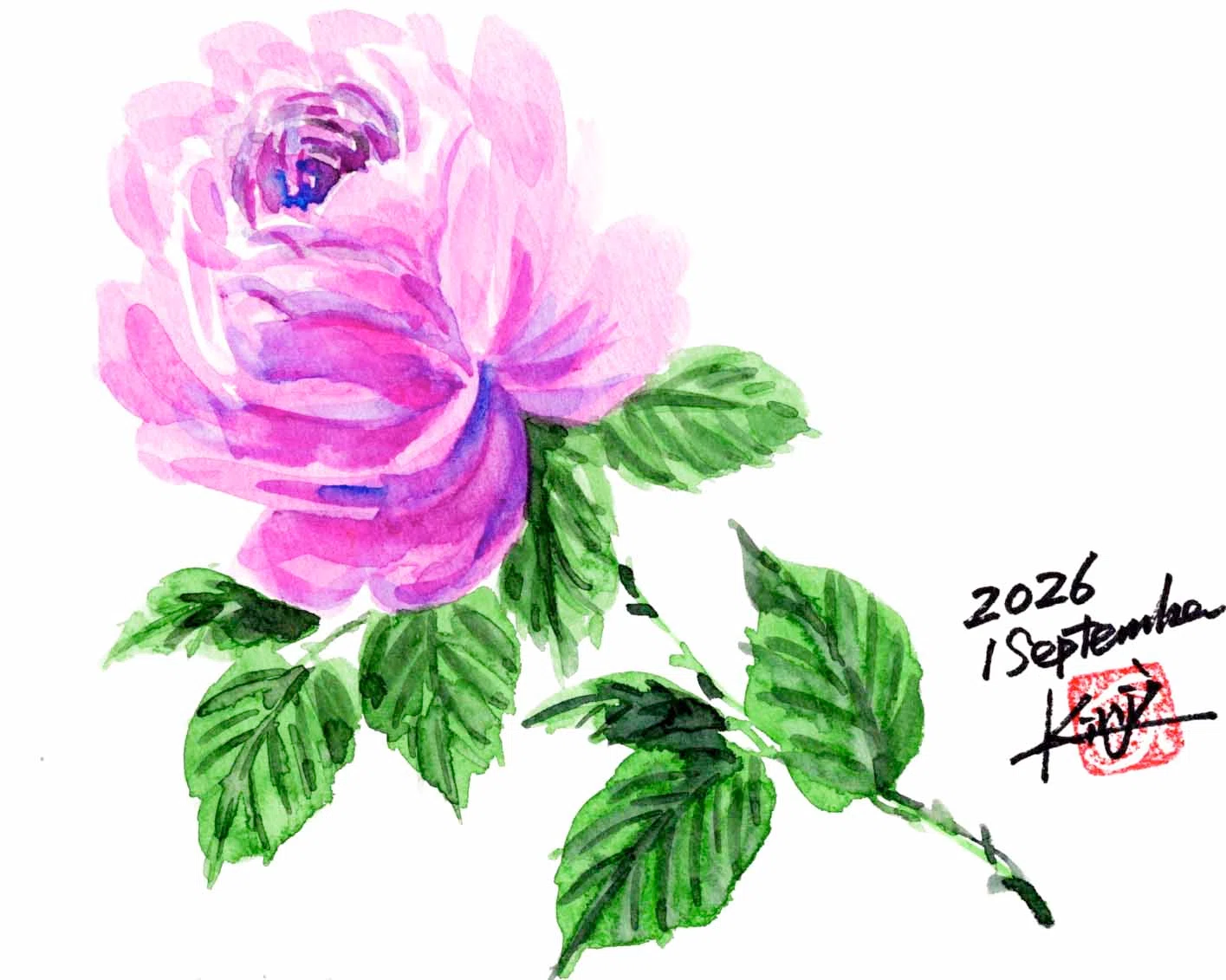 今夜も定番の薔薇です。｜kinta65