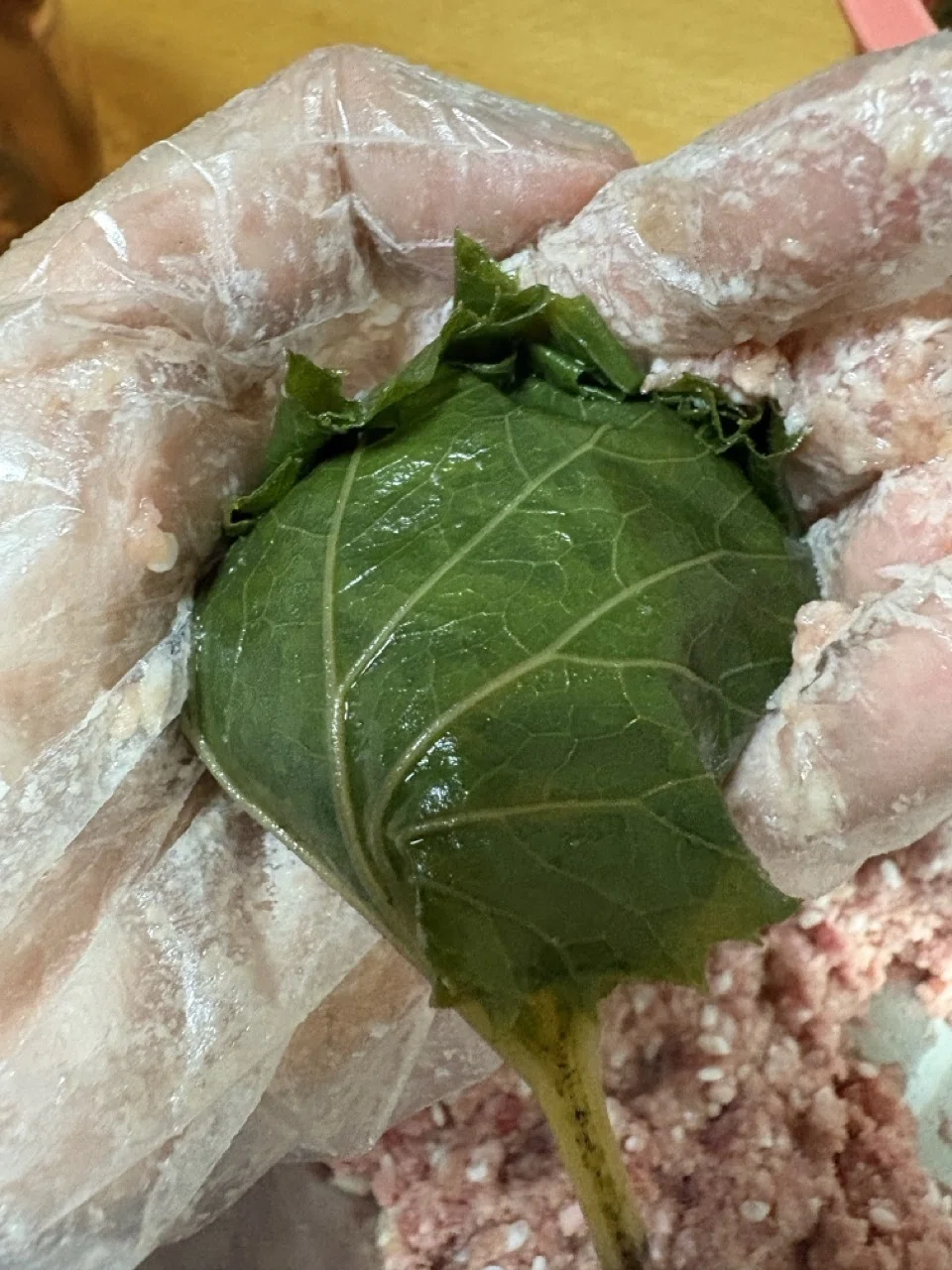 [Garden Weed Eating Diary 11] Not even on Google!? The legendary ...