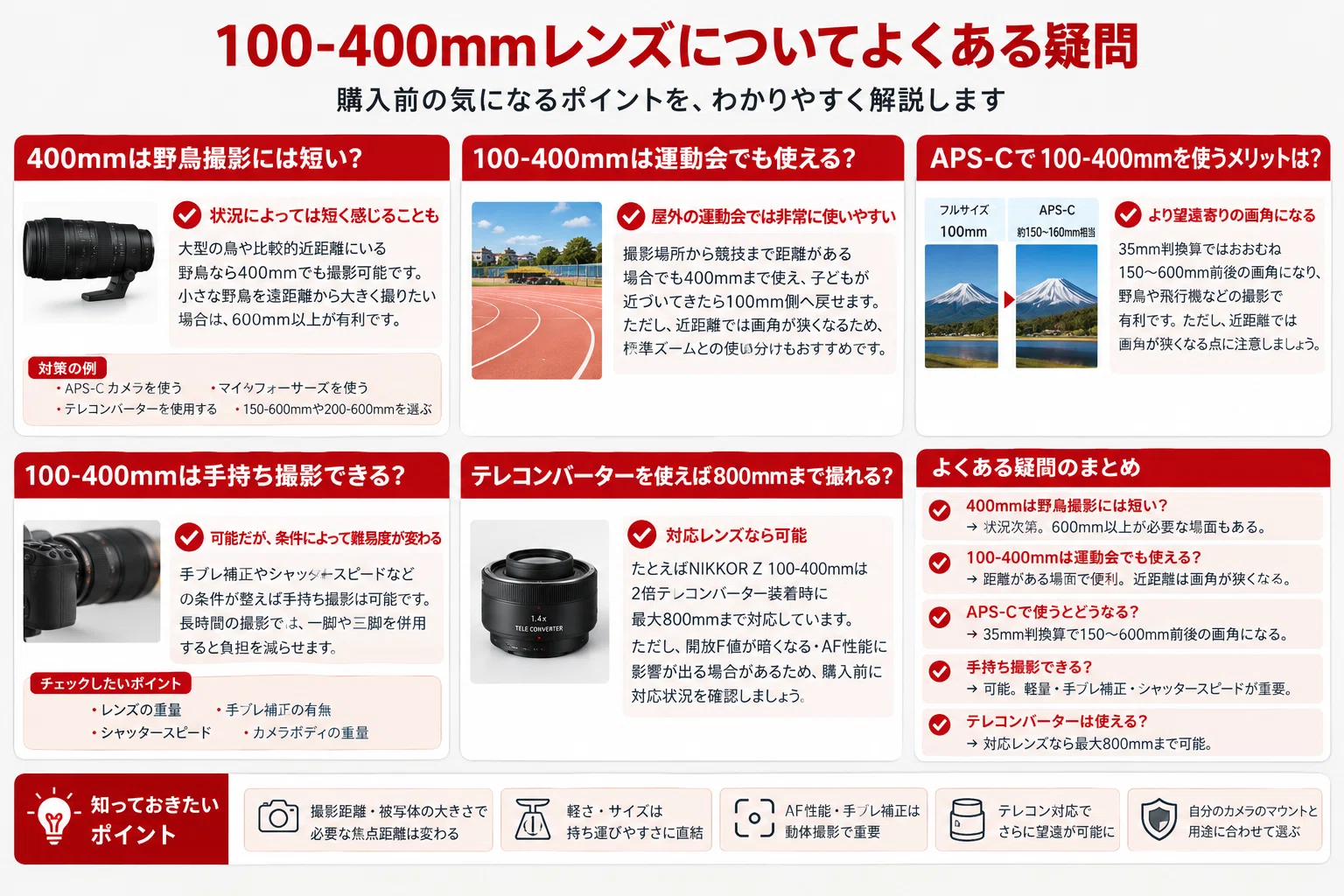 100-400mmレンズおすすめ6選｜野鳥・スポーツに強い望遠ズームの選び方