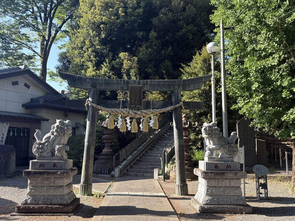 画像