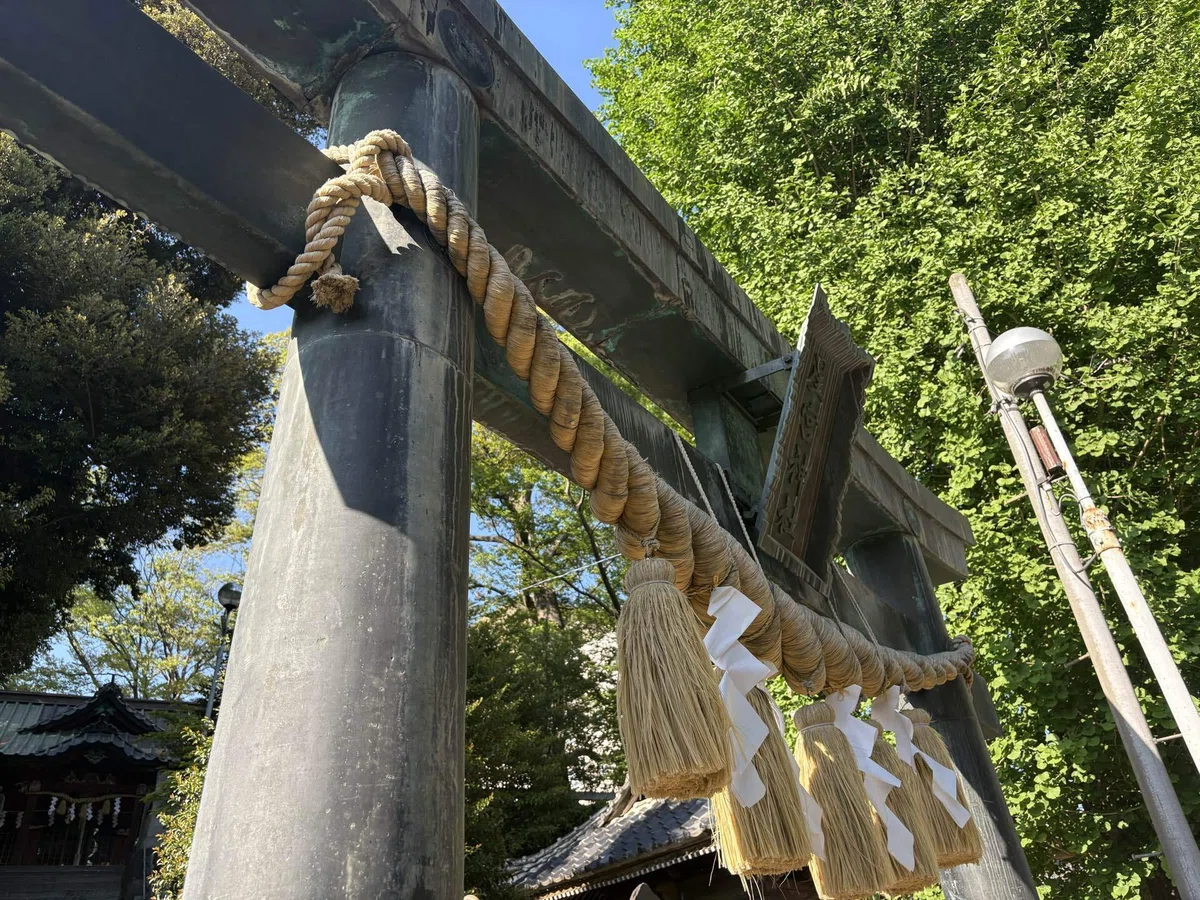 画像