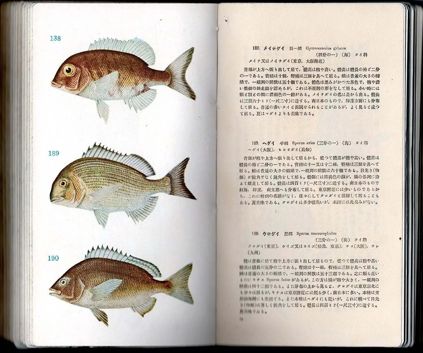 皮装版『原色日本魚類圖鑑』（1931年）日本初！一般向け原色魚類図鑑