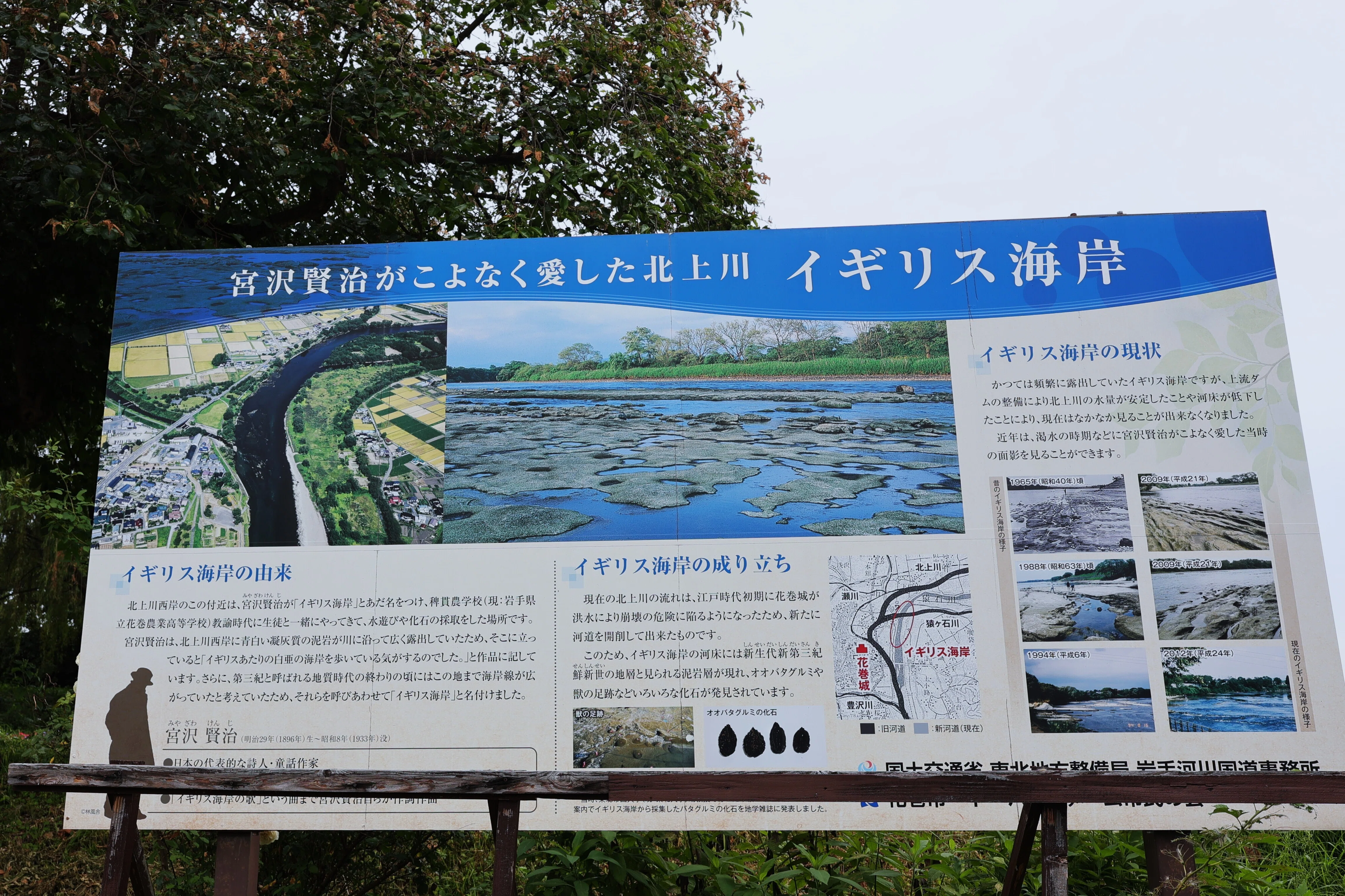 宮沢賢治　二枚貝の化石　イギリス海岸 宮沢賢治「イギリス海岸」と,「銀河鉄道の夜」のプリオシン海岸｜Abbey