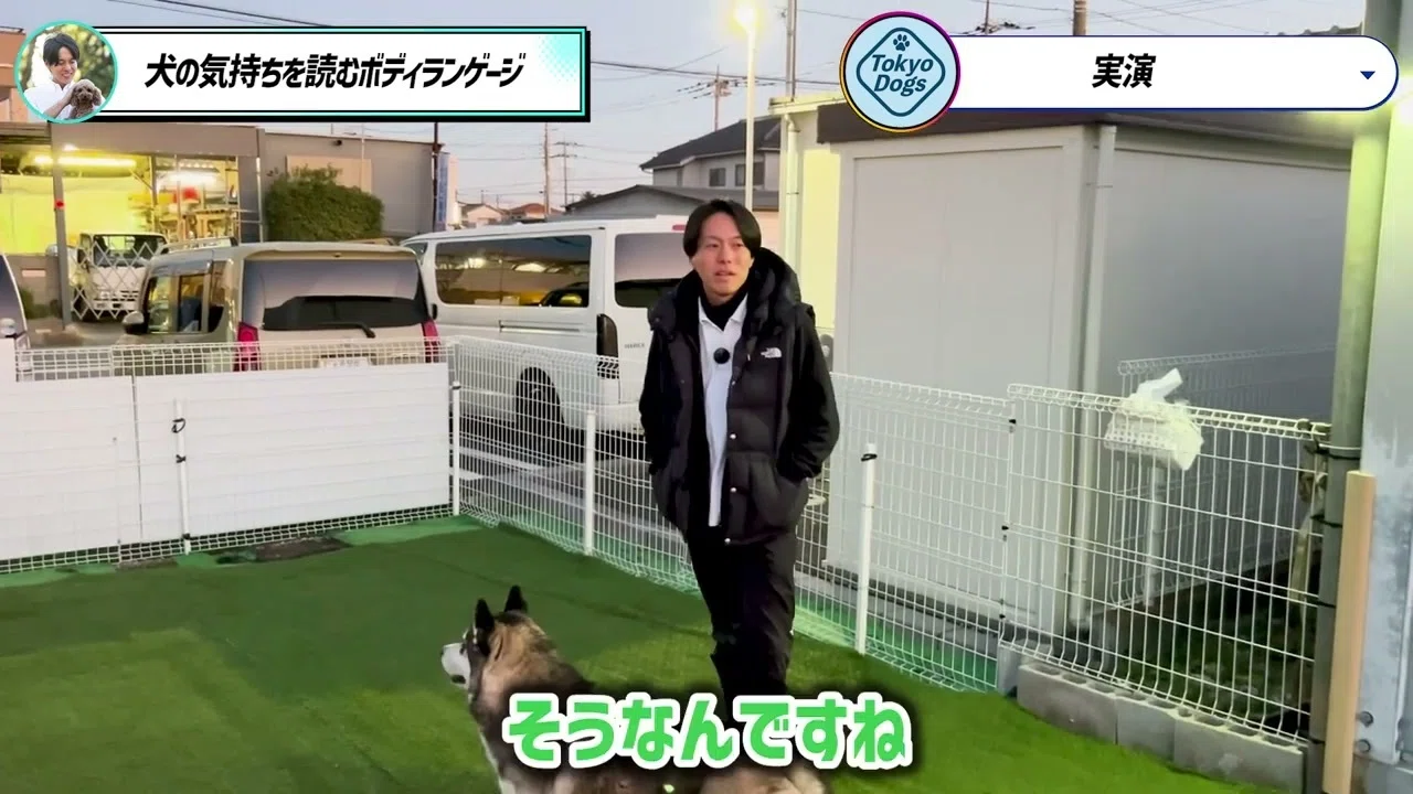 ドッグランで遊びとケンカをどう見分ける?|犬同士のサインと休憩 ドッグランで遊びとケンカをどう見分ける?|犬同士のサインと休憩