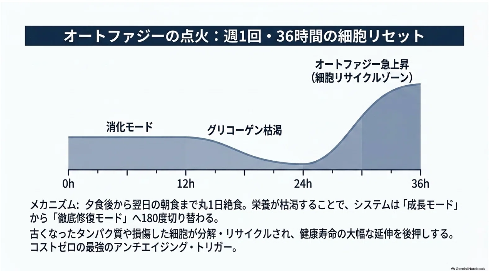 A Bio-Operating System for Redefining Aging｜湯山 卓｜7万人施術の整体師・AGOスクール代表
