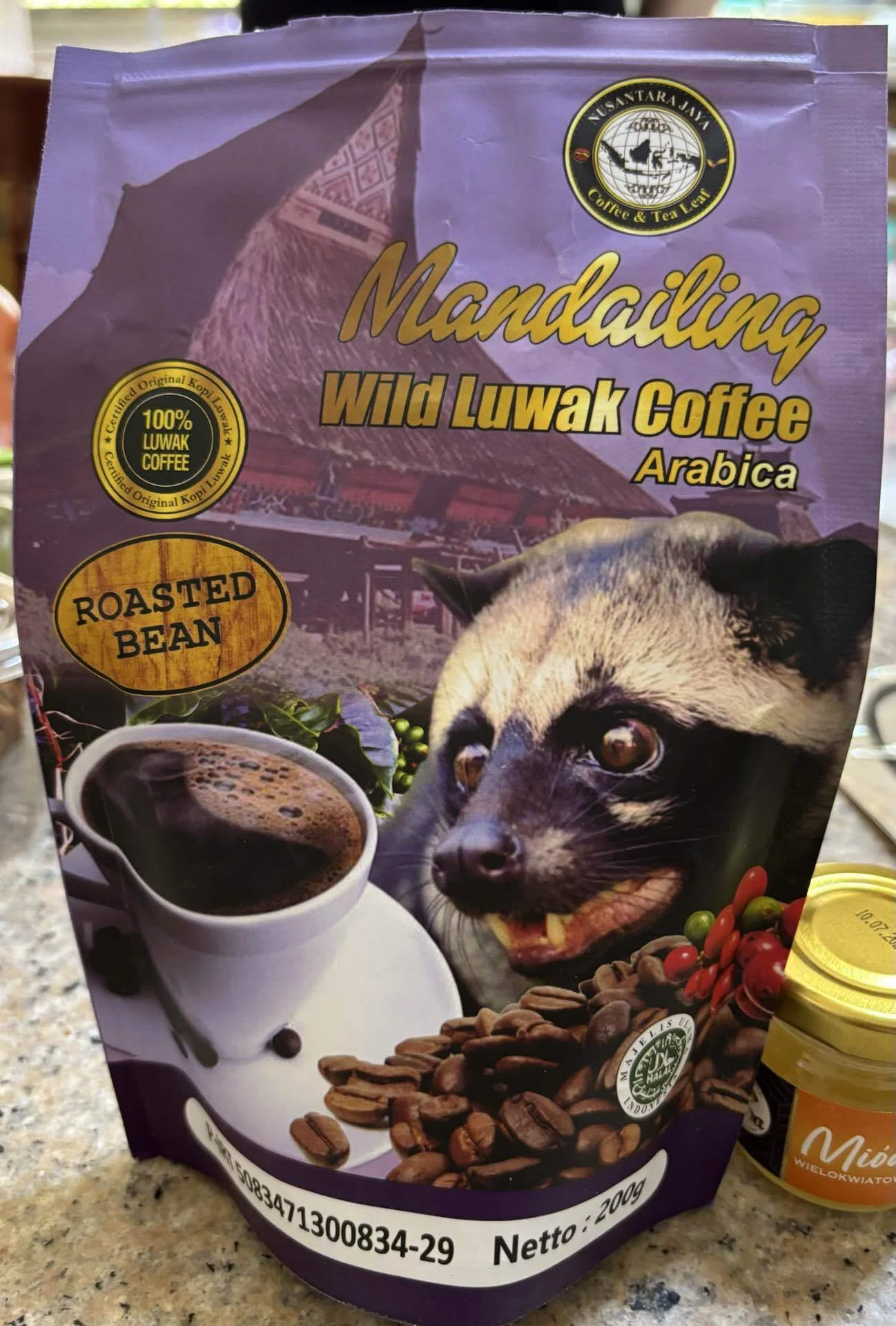 Before Drinking the Elusive Kopi Luwak Coffee｜比奈
