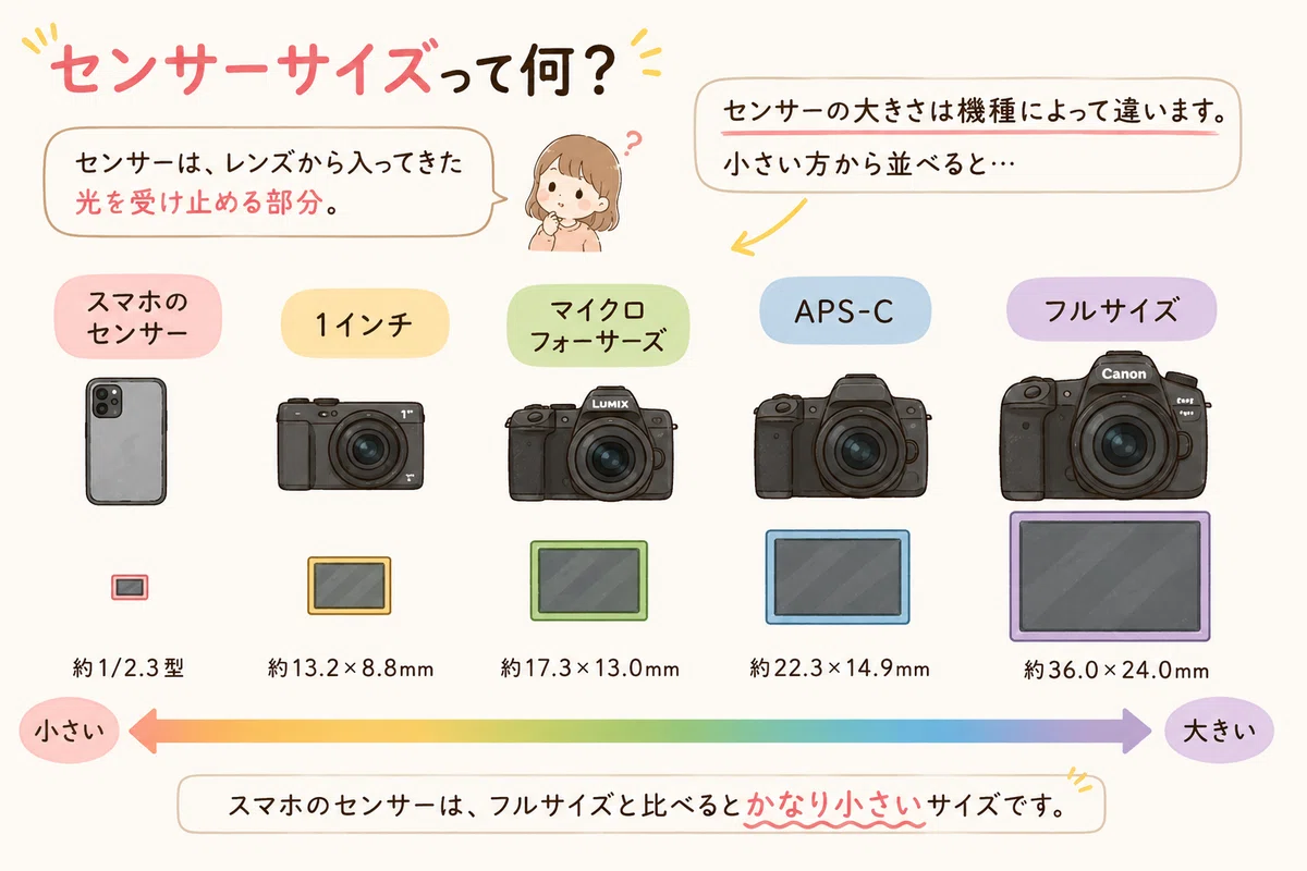 え、レンズ付きでこの値段？すごく安い一眼レフを見つけました｜Canon