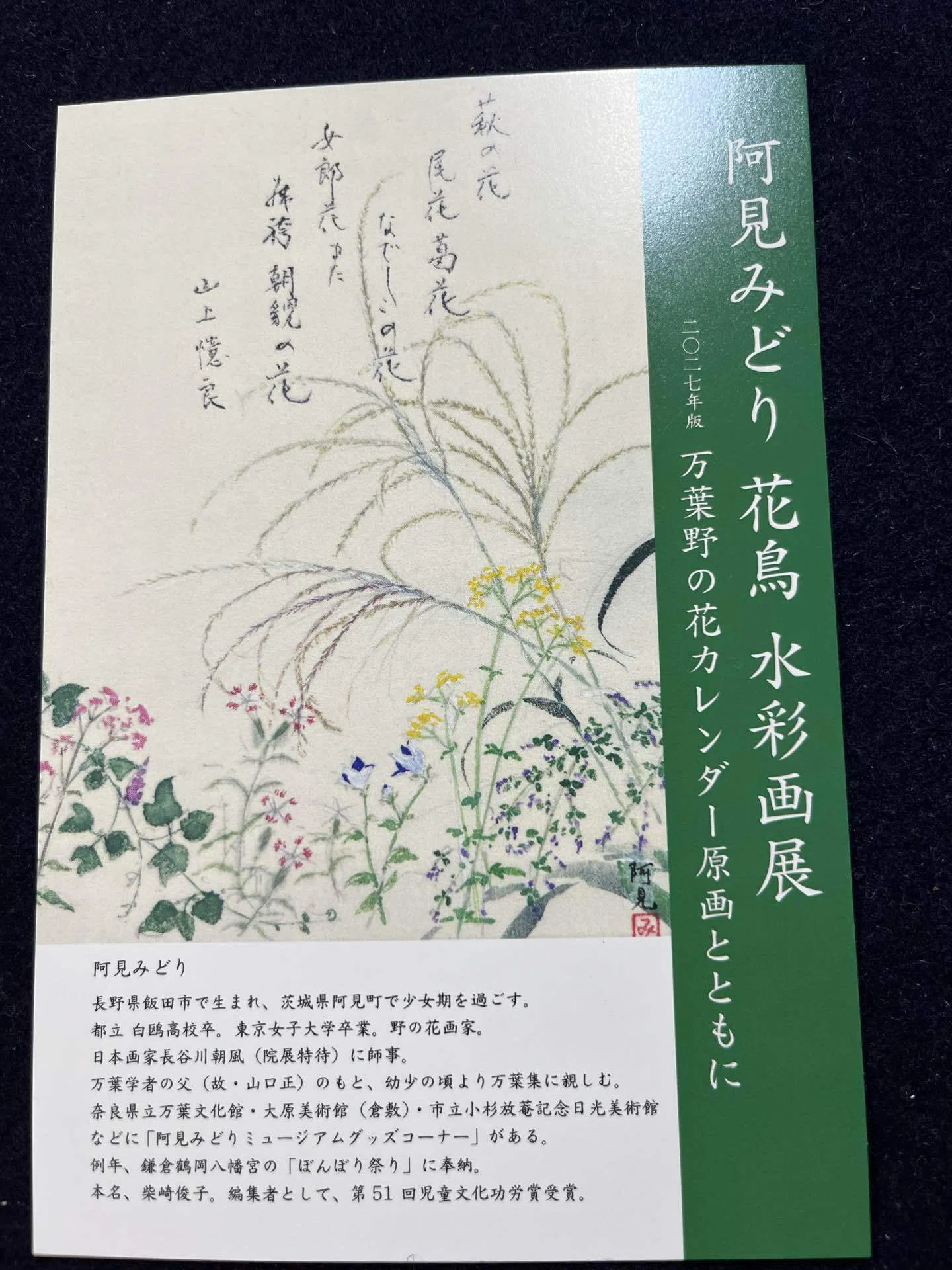 阿見みどり　花鳥　水彩画展　11/20〜24