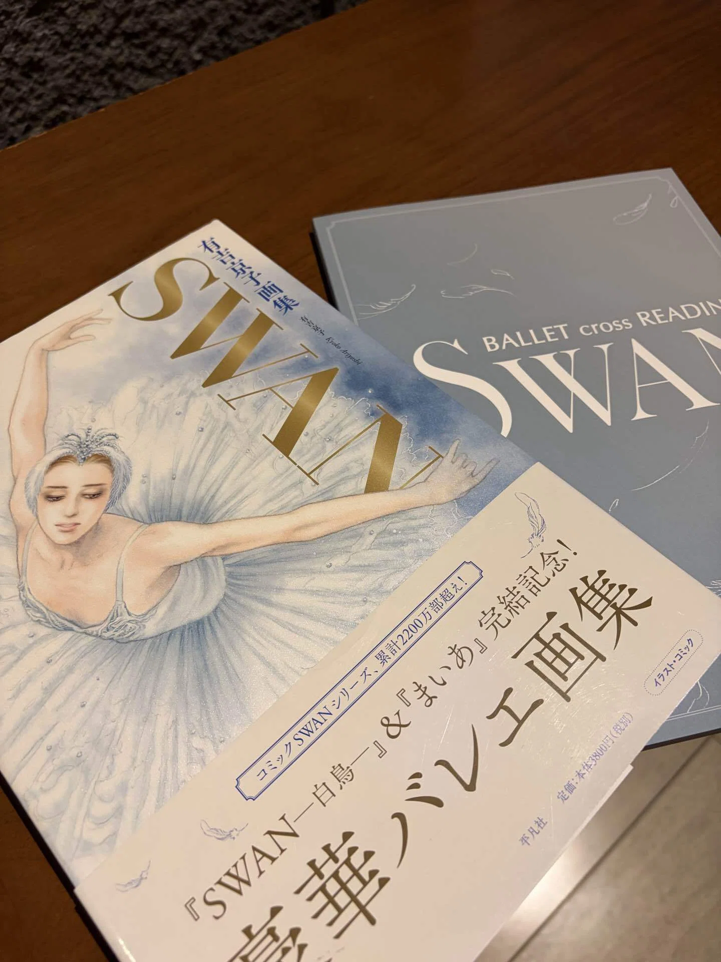 ballet×reading 『SWAN』初日｜haru_haru1101