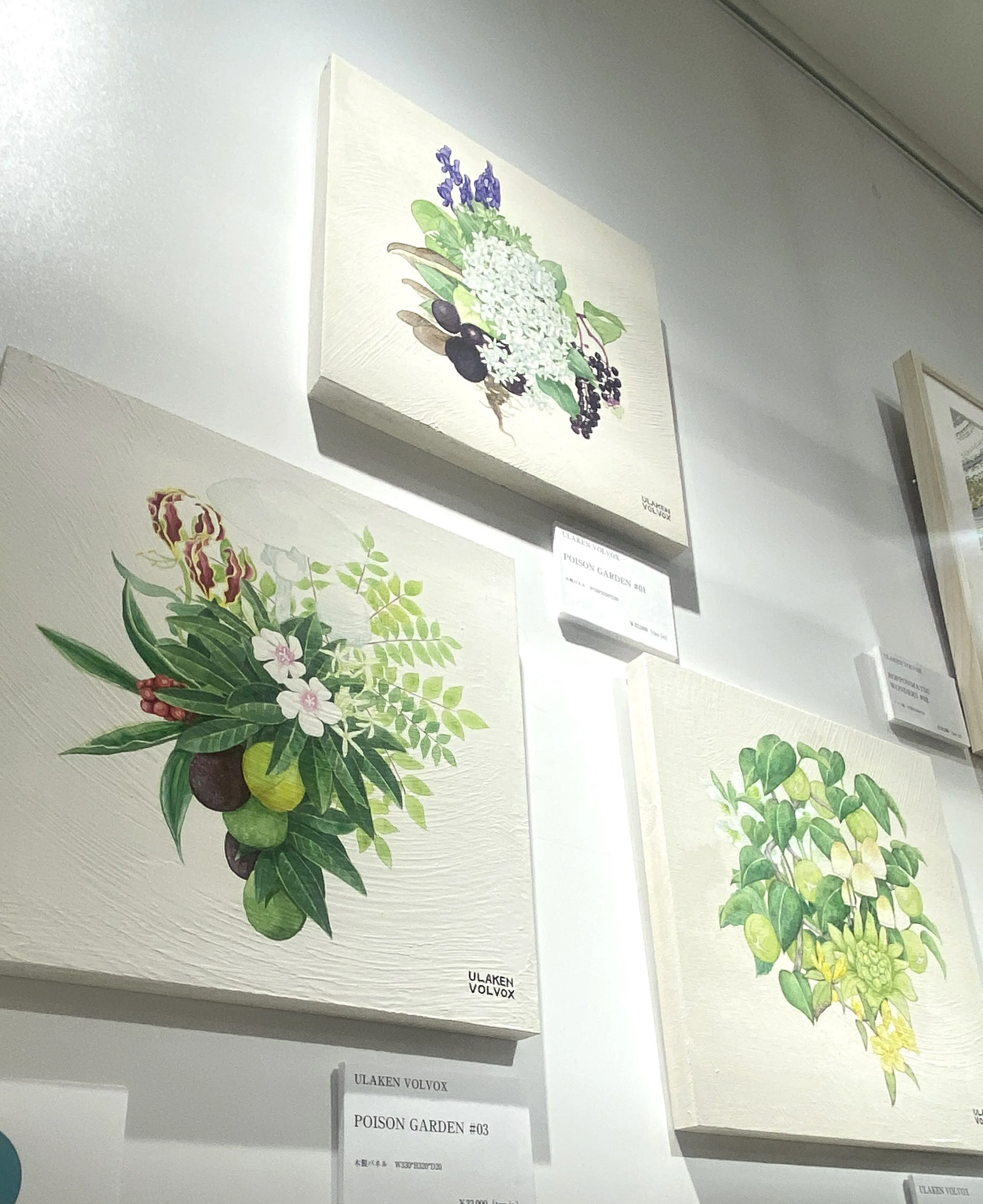 久々に「肉筆画」を描きました｜福岡・天神で原画を展示販売します