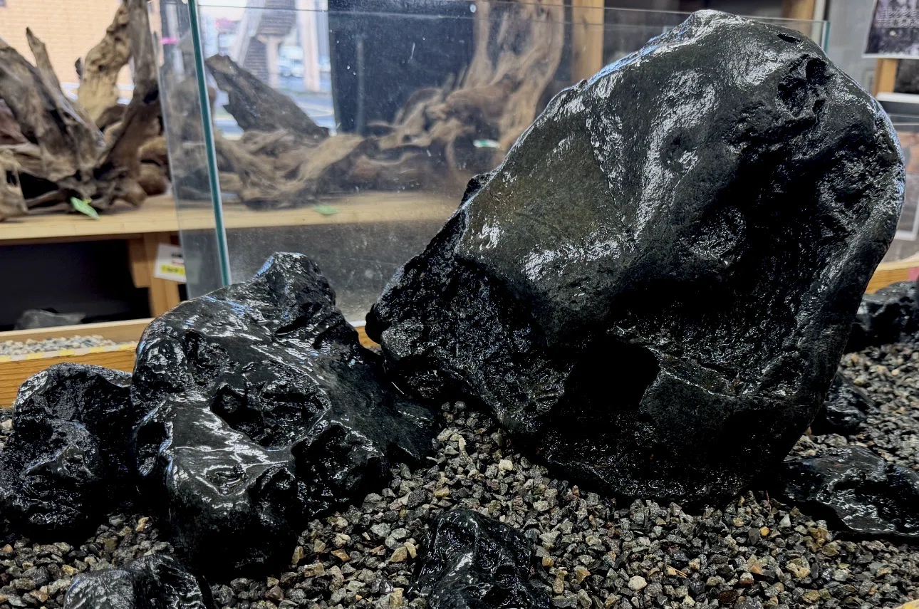 第3回 八海石を実際に組んでみる！｜AQUA PLANTS SHOP Trash