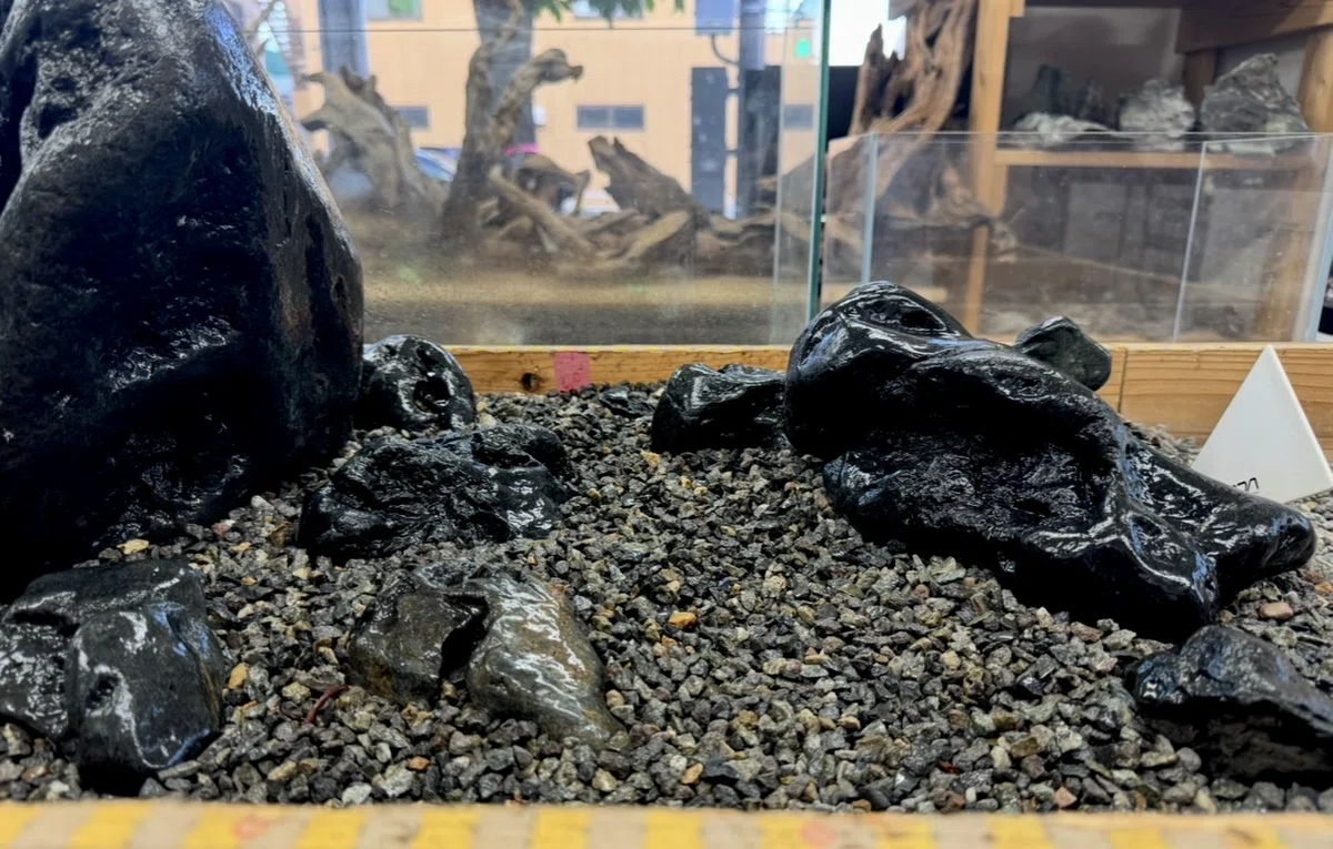 第3回 八海石を実際に組んでみる！｜AQUA PLANTS SHOP Trash