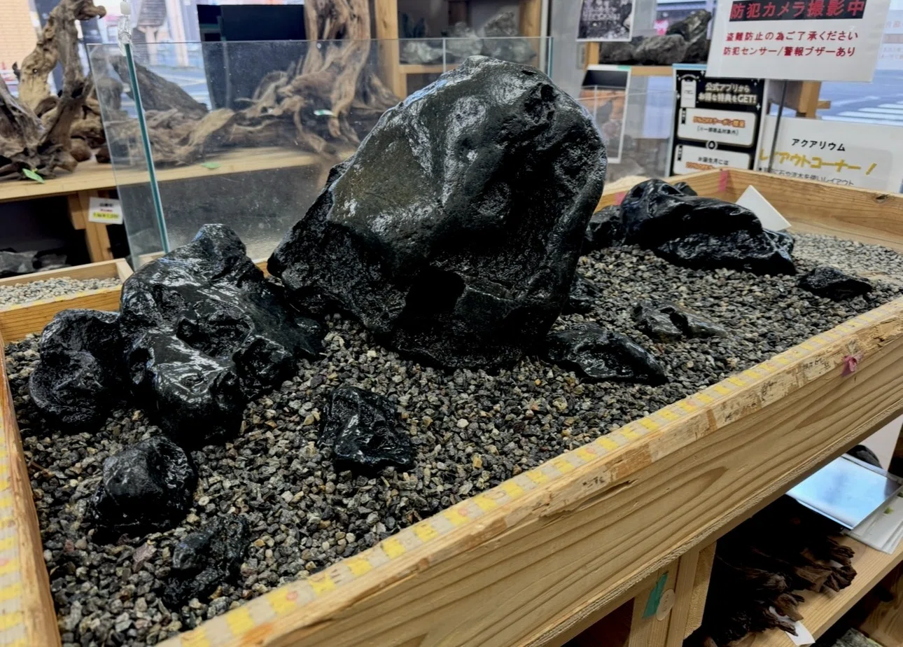 第3回 八海石を実際に組んでみる！｜AQUA PLANTS SHOP Trash