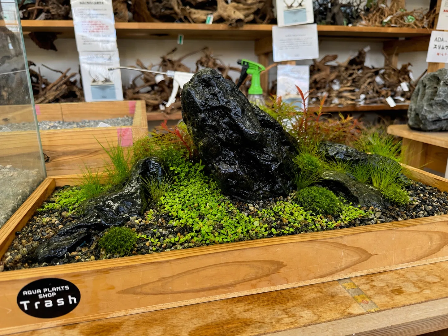 第3回 八海石を実際に組んでみる！｜AQUA PLANTS SHOP Trash