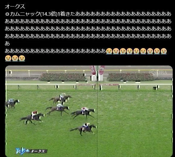 推奨度S】9/5 阪神4R🔥渾身の穴馬🔥見解・買い目付き予想｜馬券と寝る