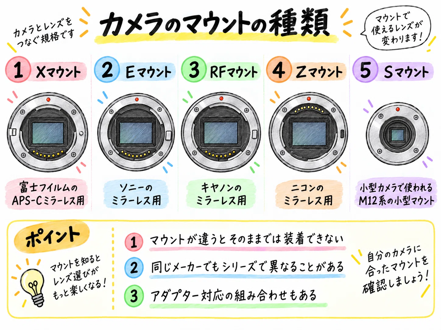 カメラ初心者がFUJIFILM X-T50を買って、写真を撮る楽しみを知った話
