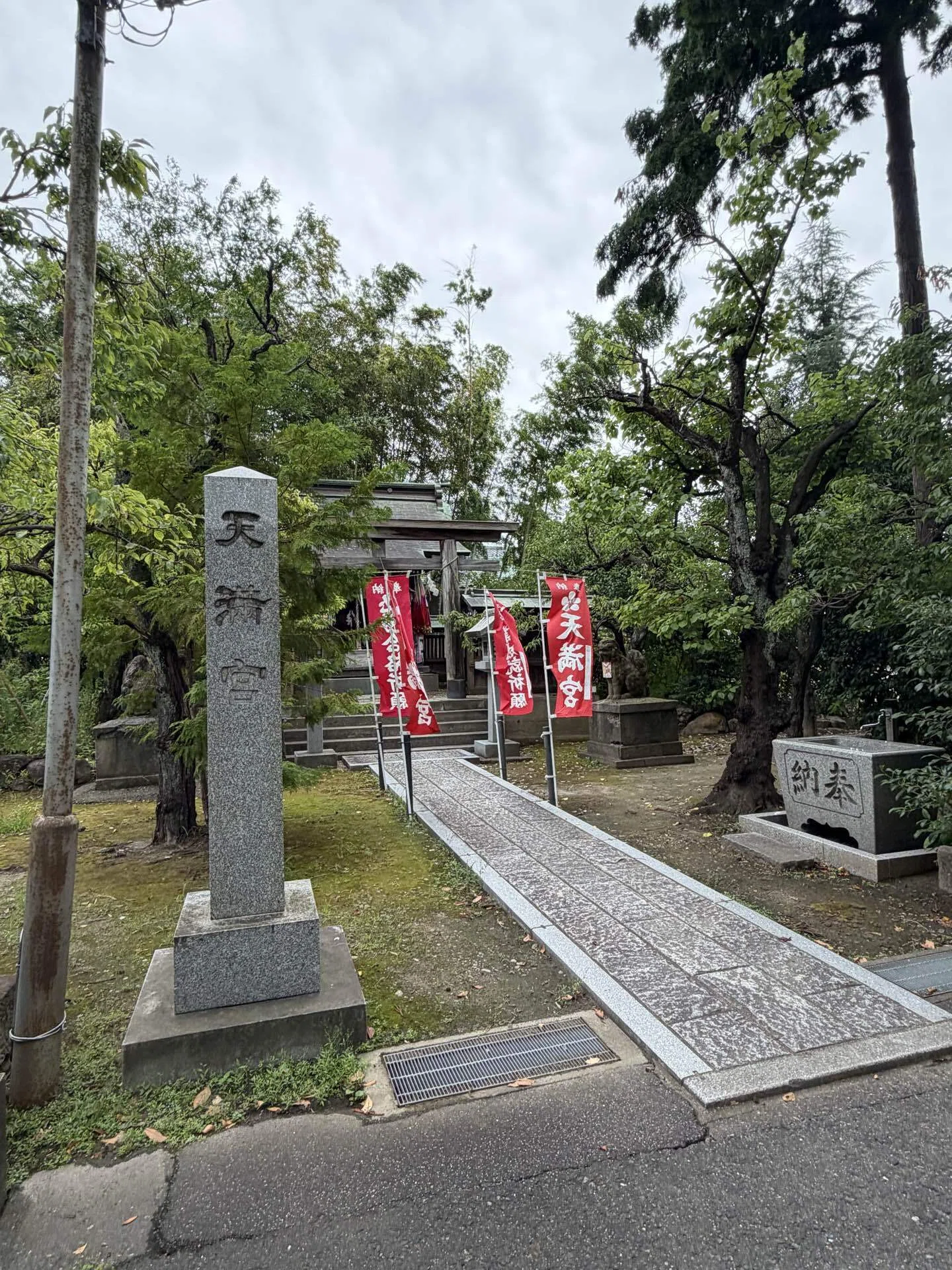 神社】五泉八幡宮｜櫻