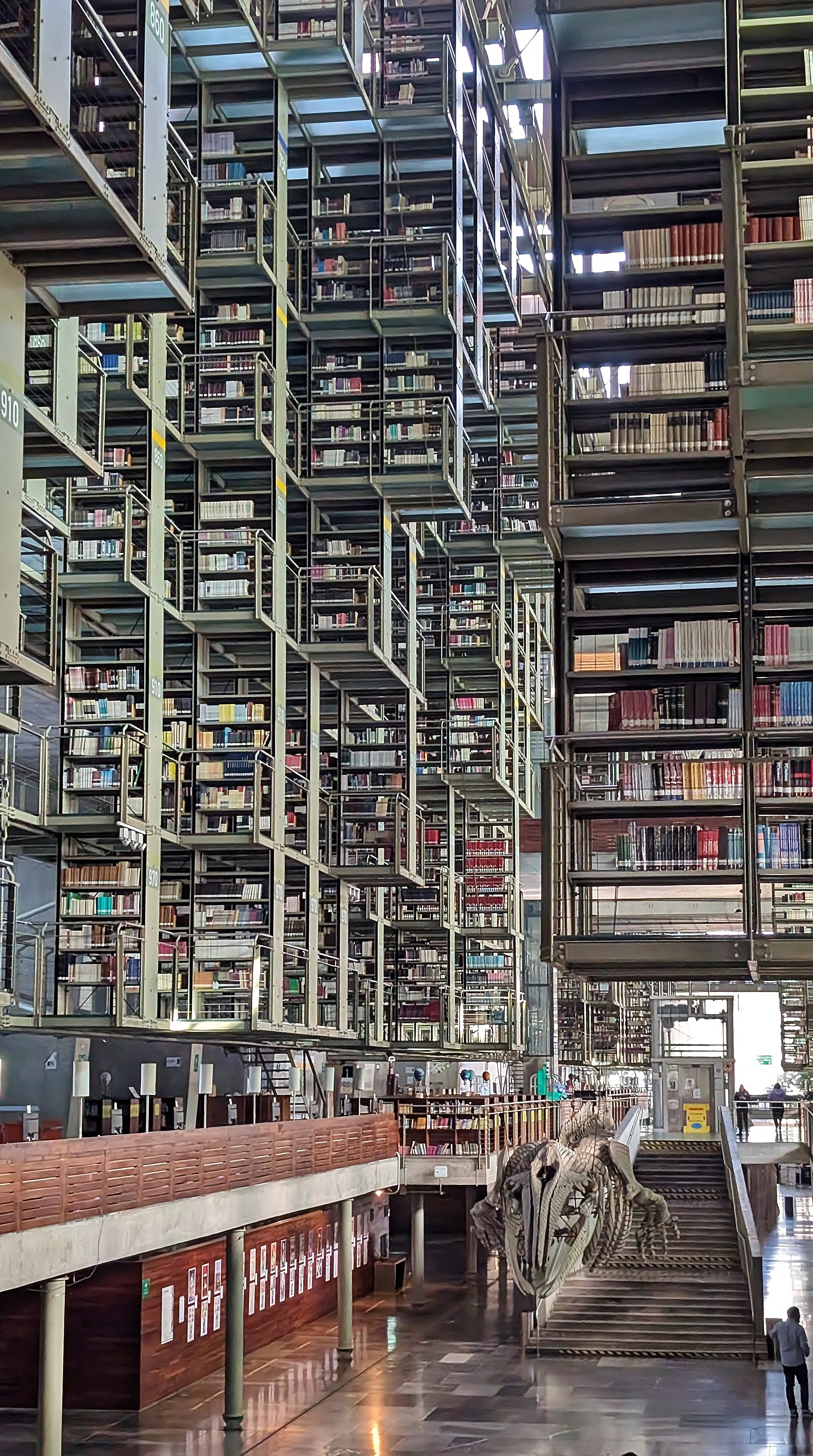 メキシコ旅行記#11】ヴァスコンセロス図書館！本が浮遊する巨大な空間