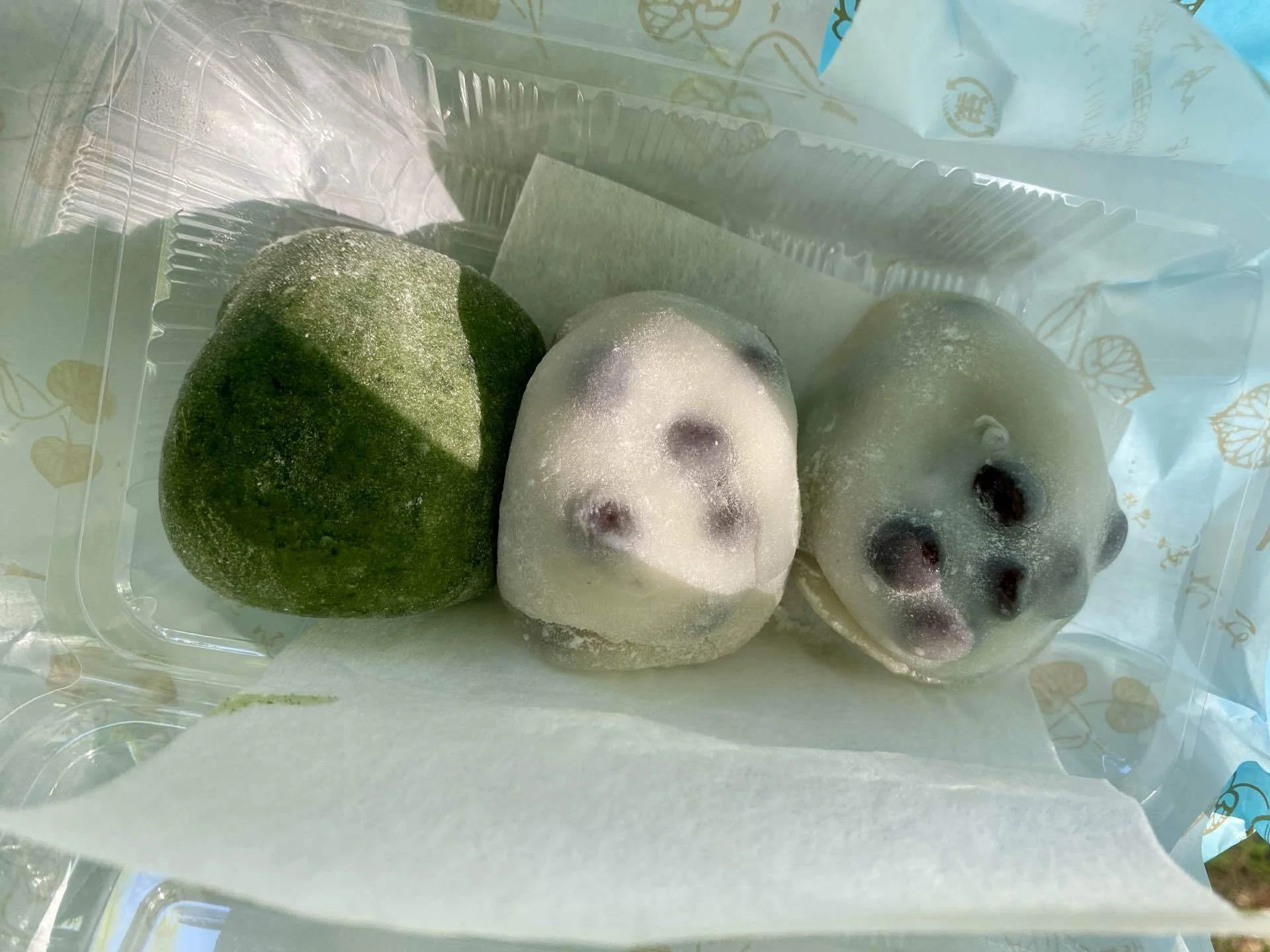 🇯🇵DEEP京都11出町ふたばの名大豆餅｜私の秘密のヨーロッパ