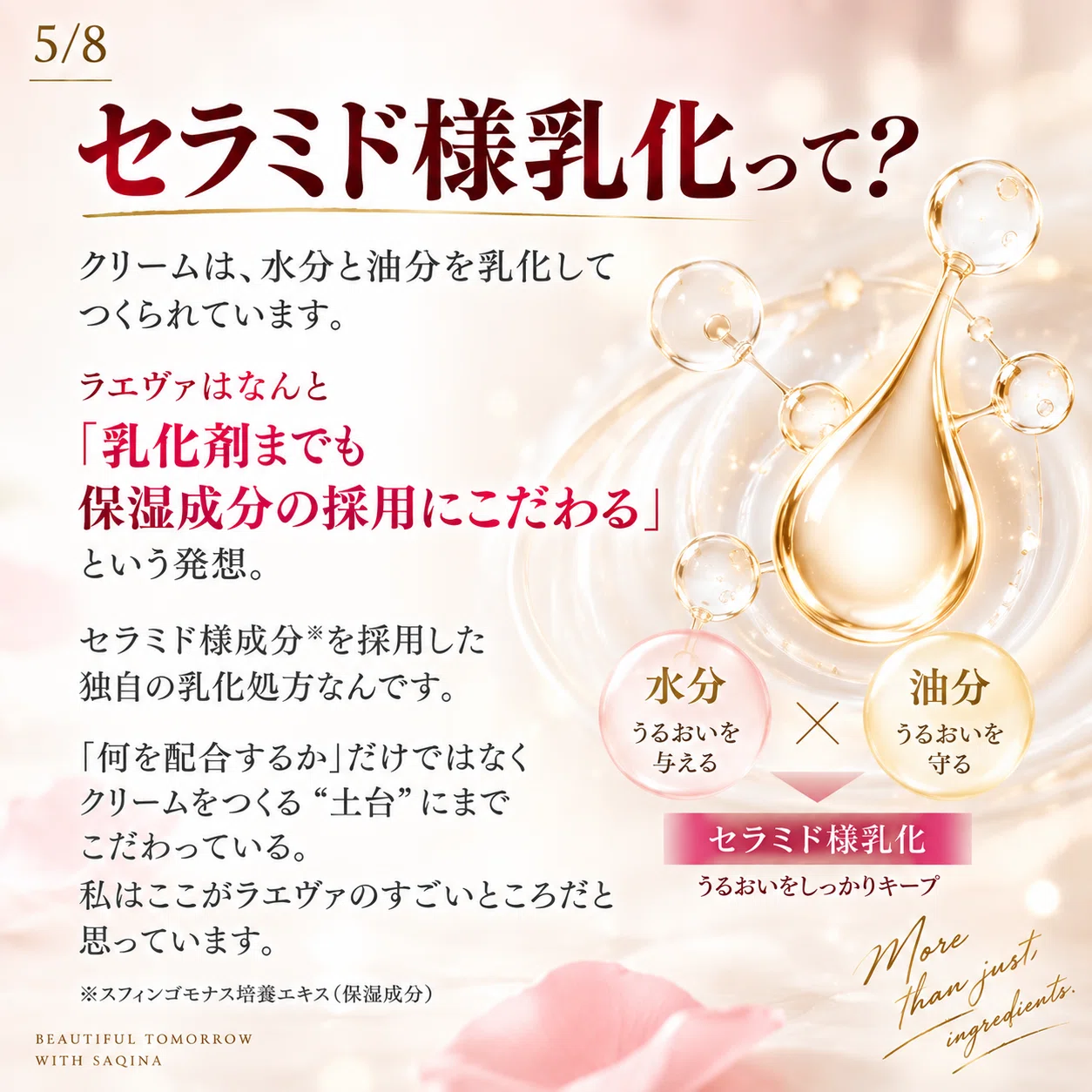 高級クリームの世界｜博多女の美容日記