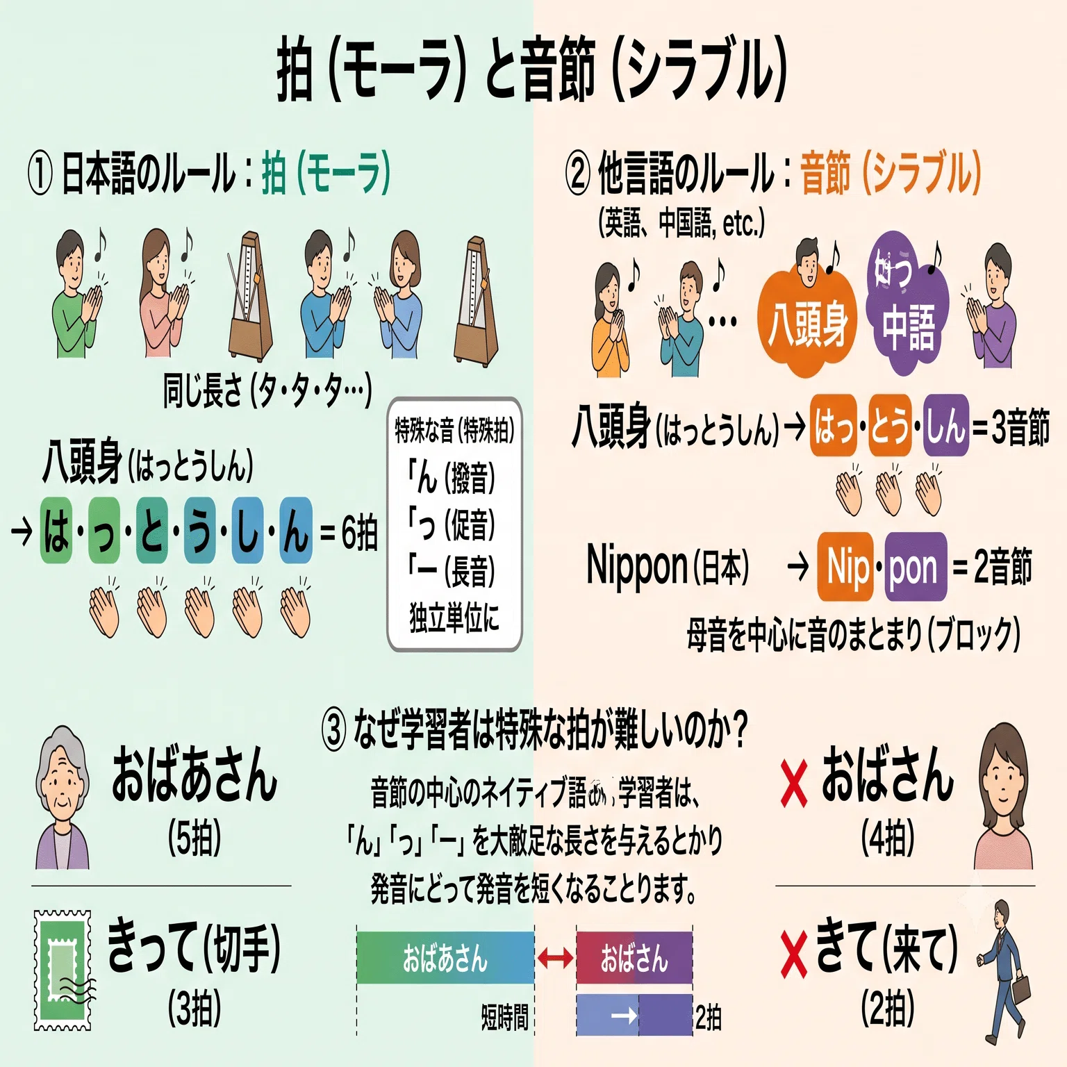 38日目】日本語教員試験で問われる「38.対照言語学」とは？｜日本語