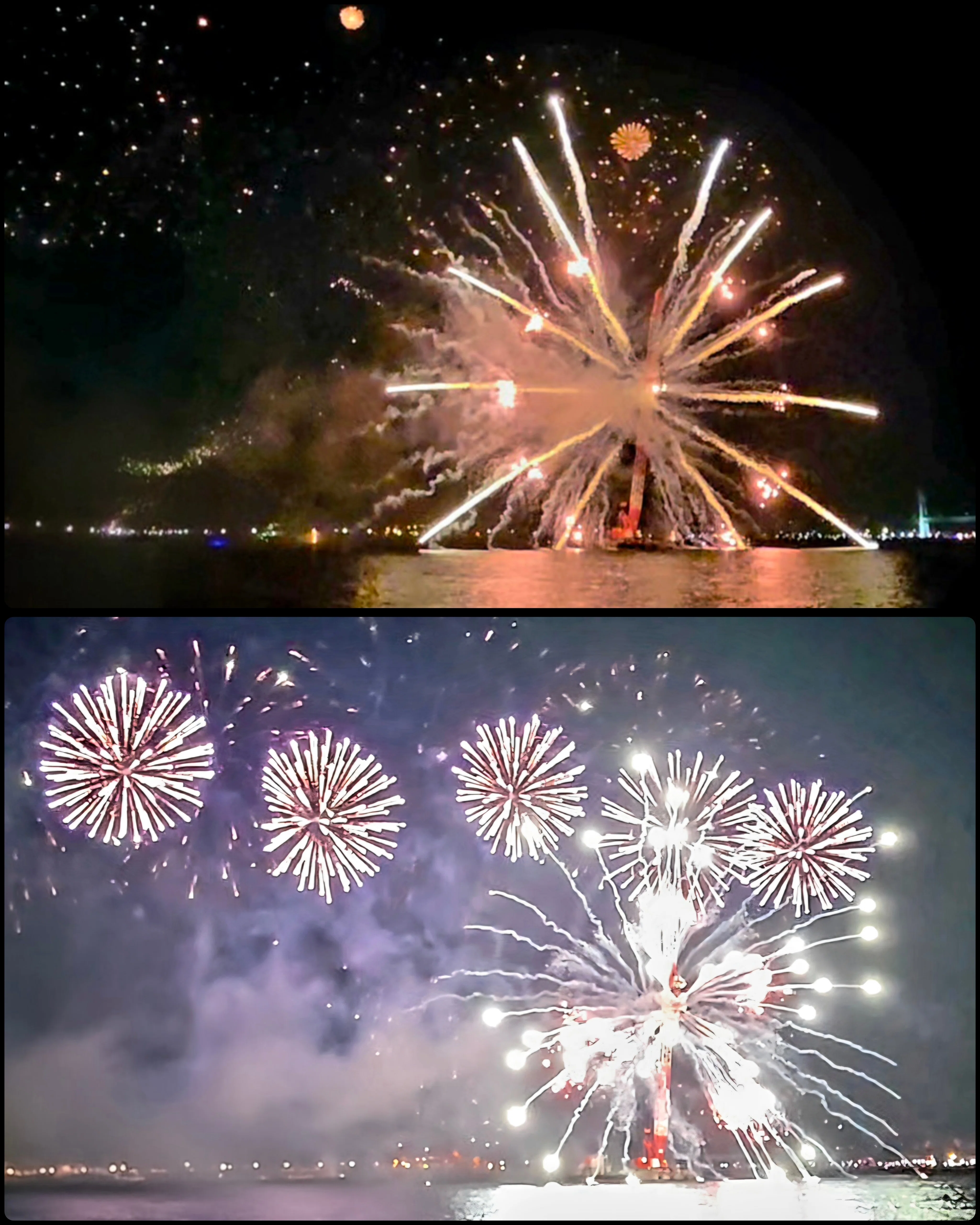 横浜の夜空に咲く花火、その下で｜紫陽花
