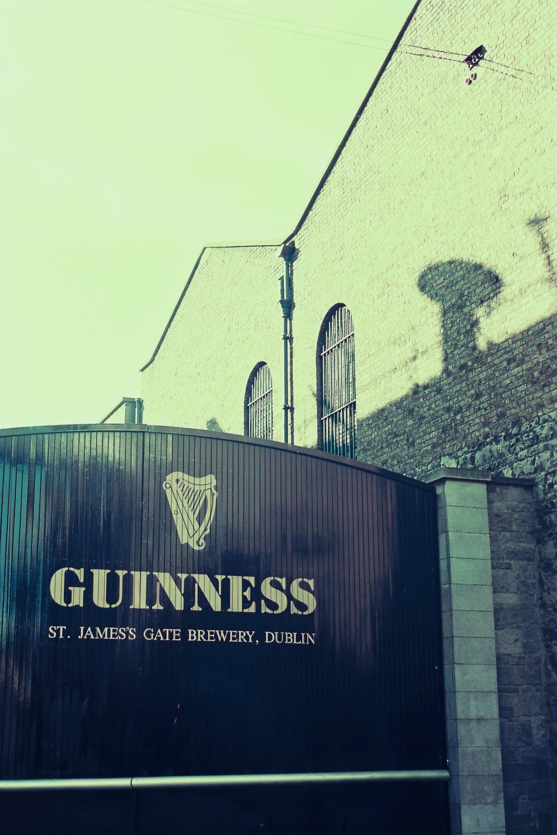 2002年記憶の旅】(53)アイルランド🇮🇪ダブリン〜ギネスビールとパブの