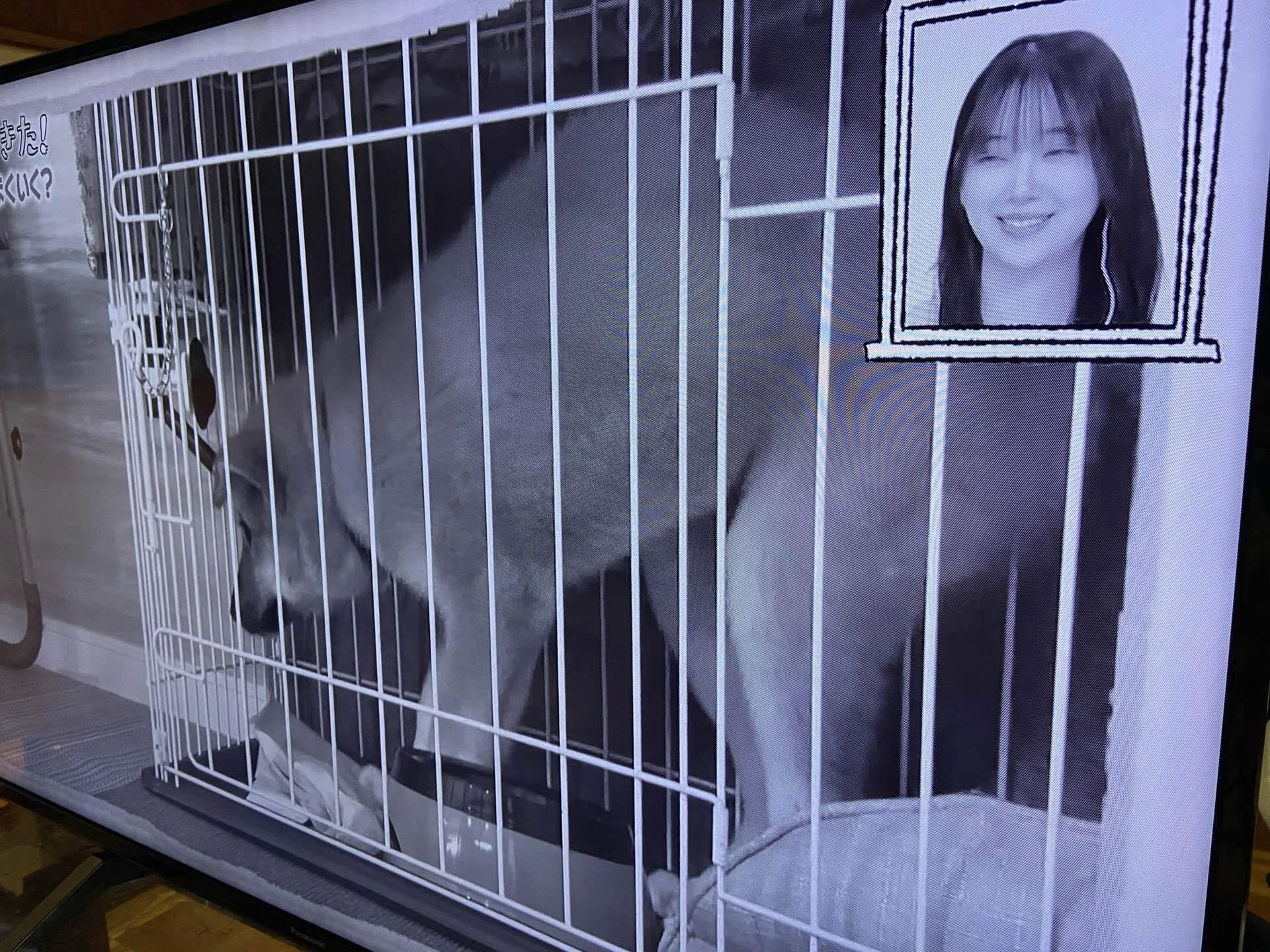 ついに復活！グレー画面のPanasonic49インチ〜原因はT-CONだった〜｜こ