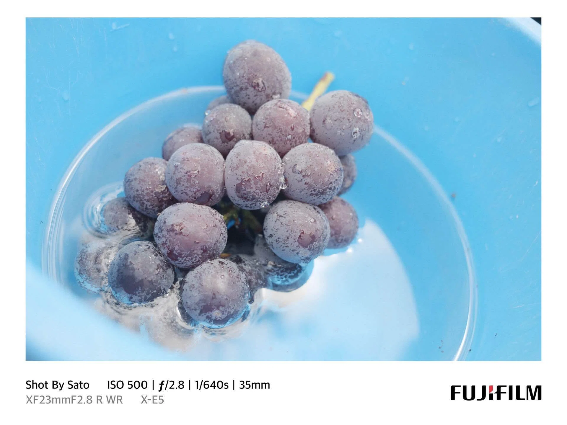 見るのが嫌になるレベルのぶどうを食べたことはあるか【FUJIFILM X-E5