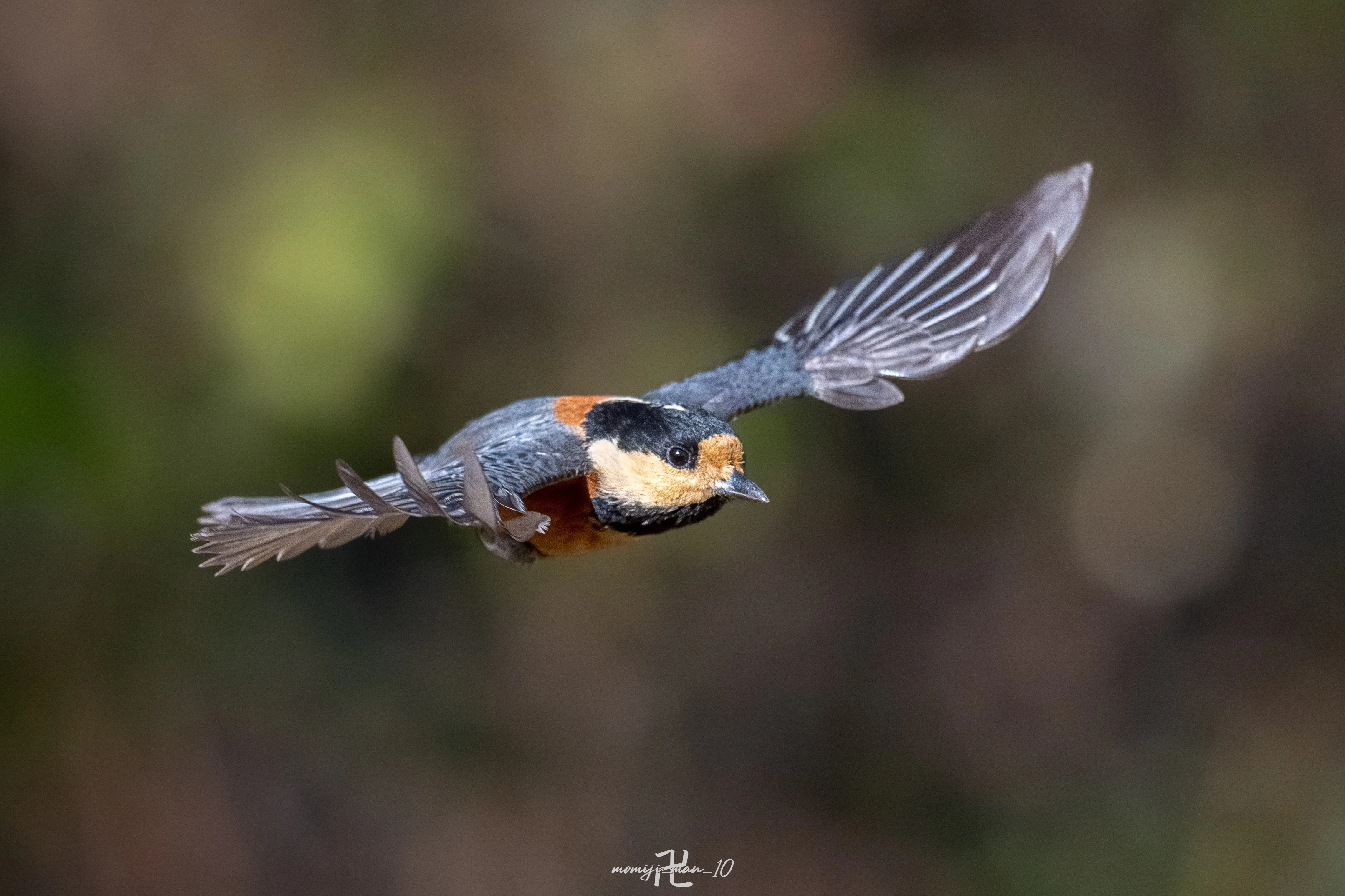 もっとみんなにNIKKOR Z 180-600mm f/5.6-6.3 VRの凄さを知ってもらい