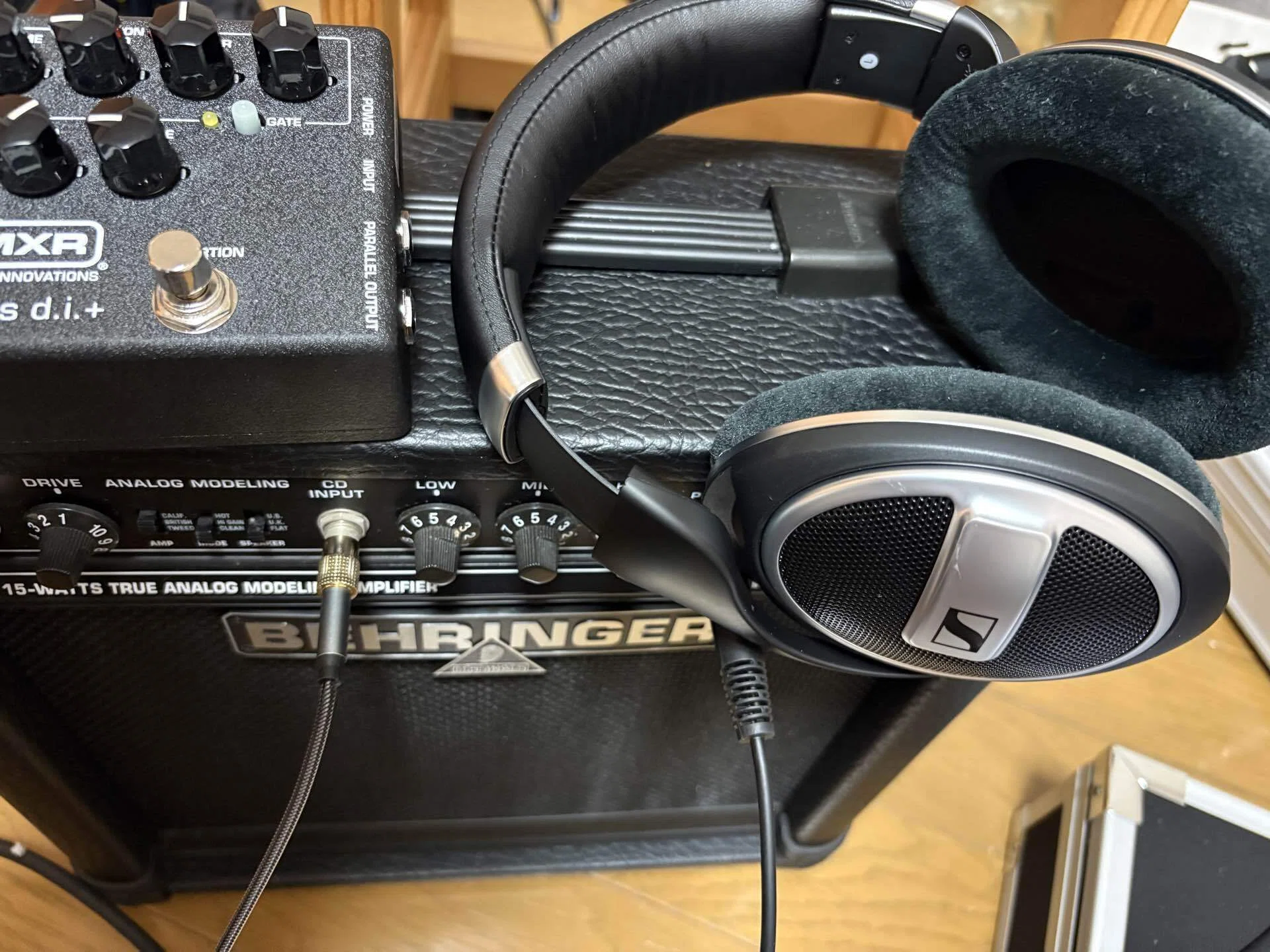ベース練習用に買ったヘッドフォン ゼンハイザーのHD 599が、音楽にも