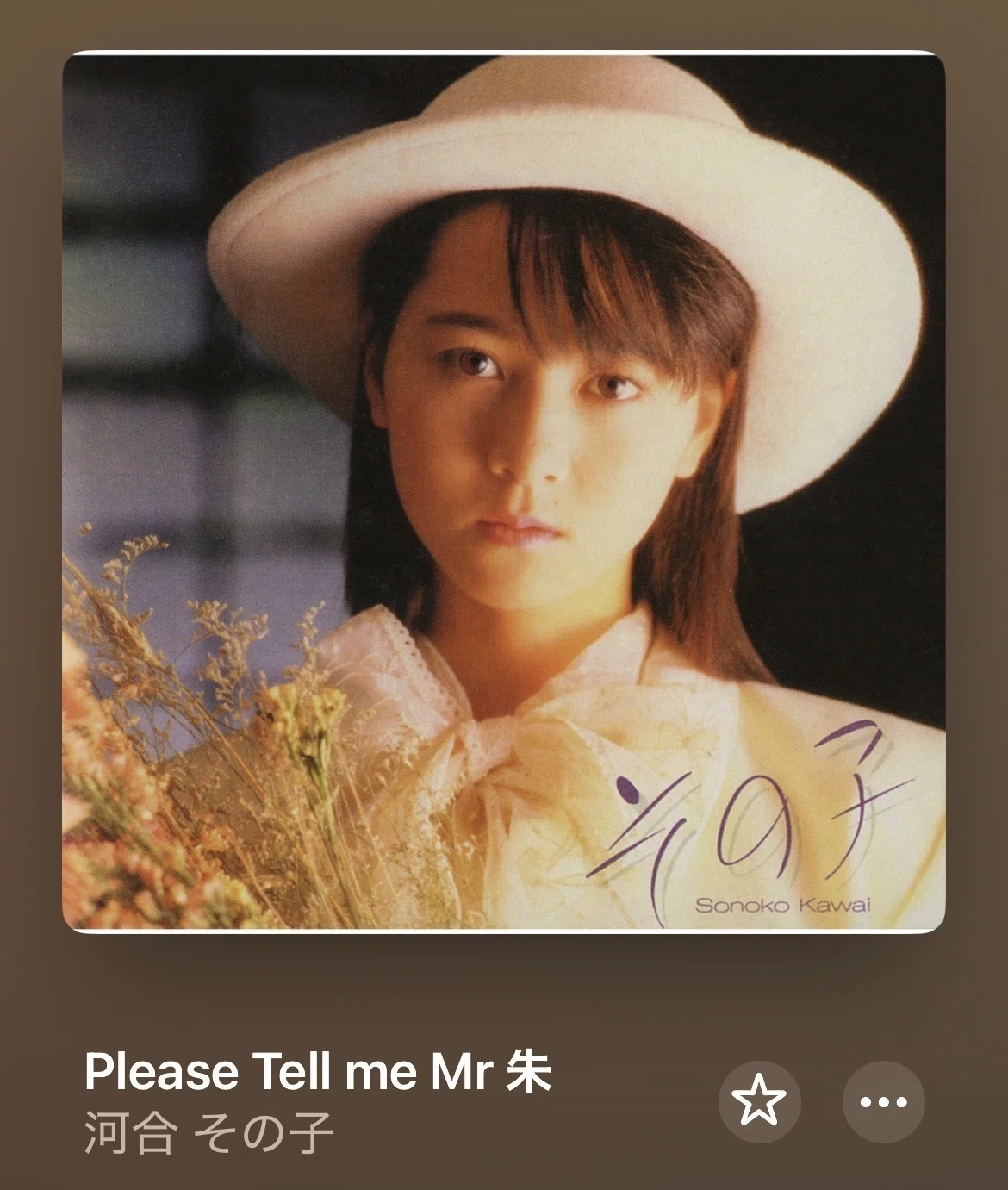 女の子の純愛おセンチ気分に浸るなら河合その子「Please tell me Mr.朱