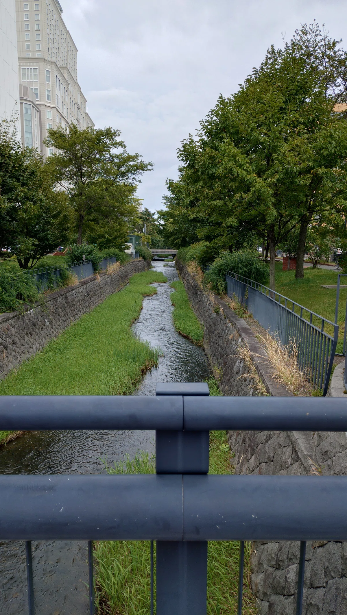 札幌市 創成川
