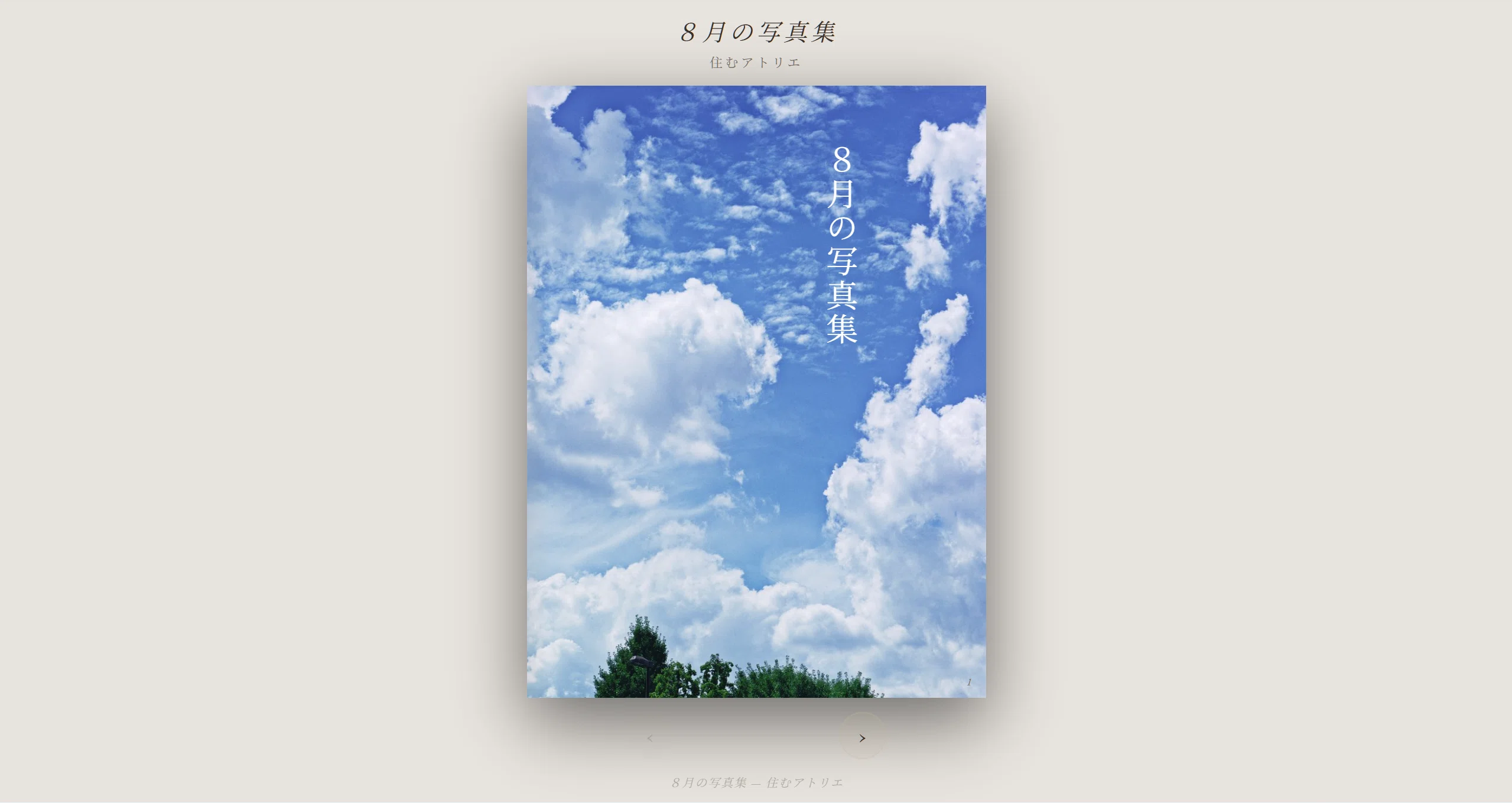 日本写真全集8 自然と風景 写真集 帯付 月報付 小学館 8月の写真集｜住むアトリエ