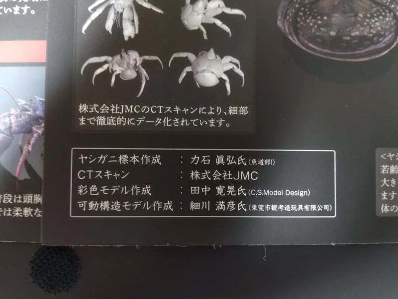 いきもの大図鑑プレミアム ヤシガニパープルカラー｜魚道部！/ 剥製師