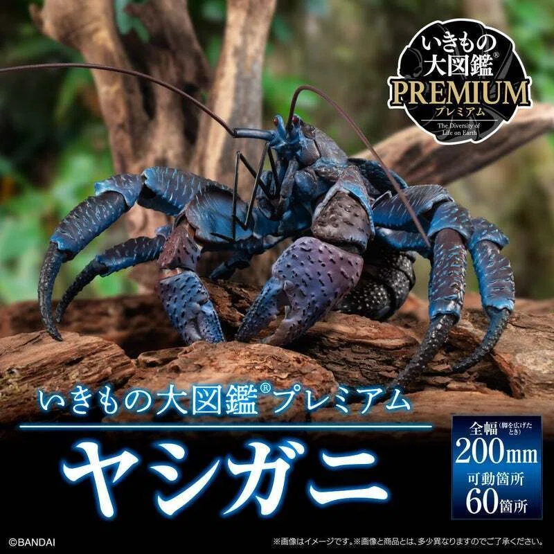 いきもの大図鑑プレミアム ヤシガニパープルカラー｜魚道部！/ 剥製師