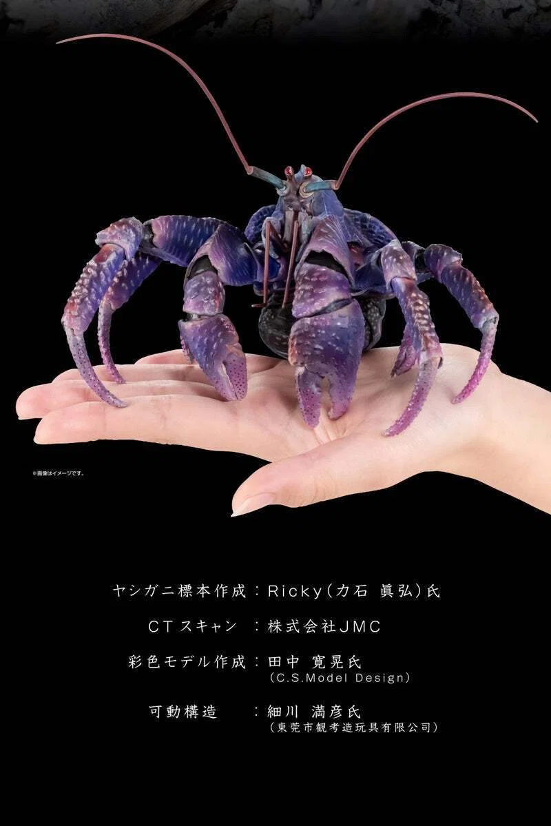 いきもの大図鑑プレミアム ヤシガニパープルカラー｜魚道部！/ 剥製師