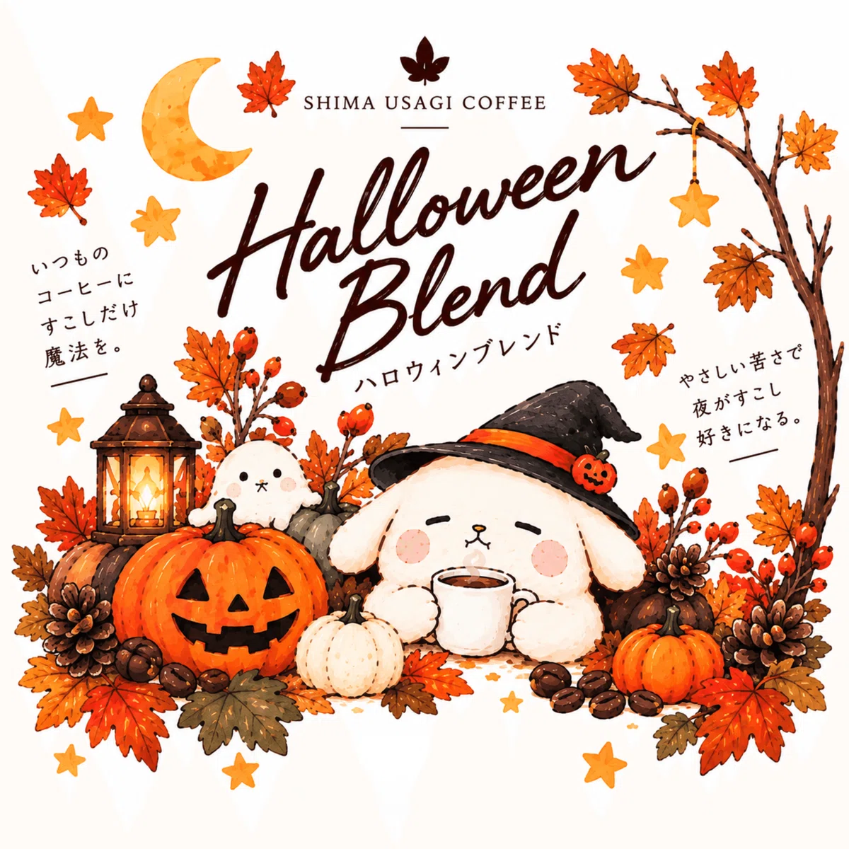 ボテうさのハロウィンパッケージ