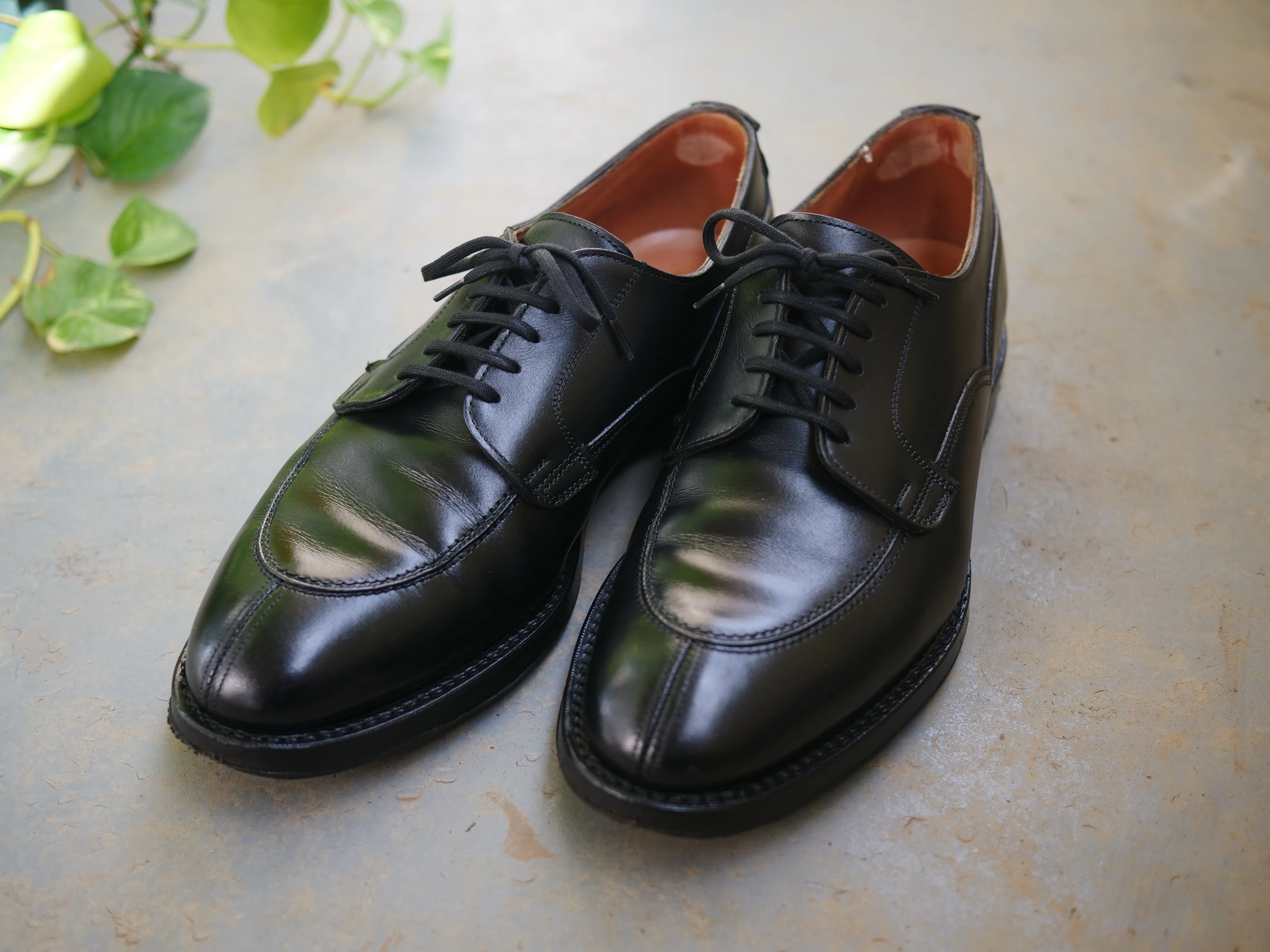 1年半履けばソックシートも育つ | JOSEPH CHEANEY チーニー STANTON