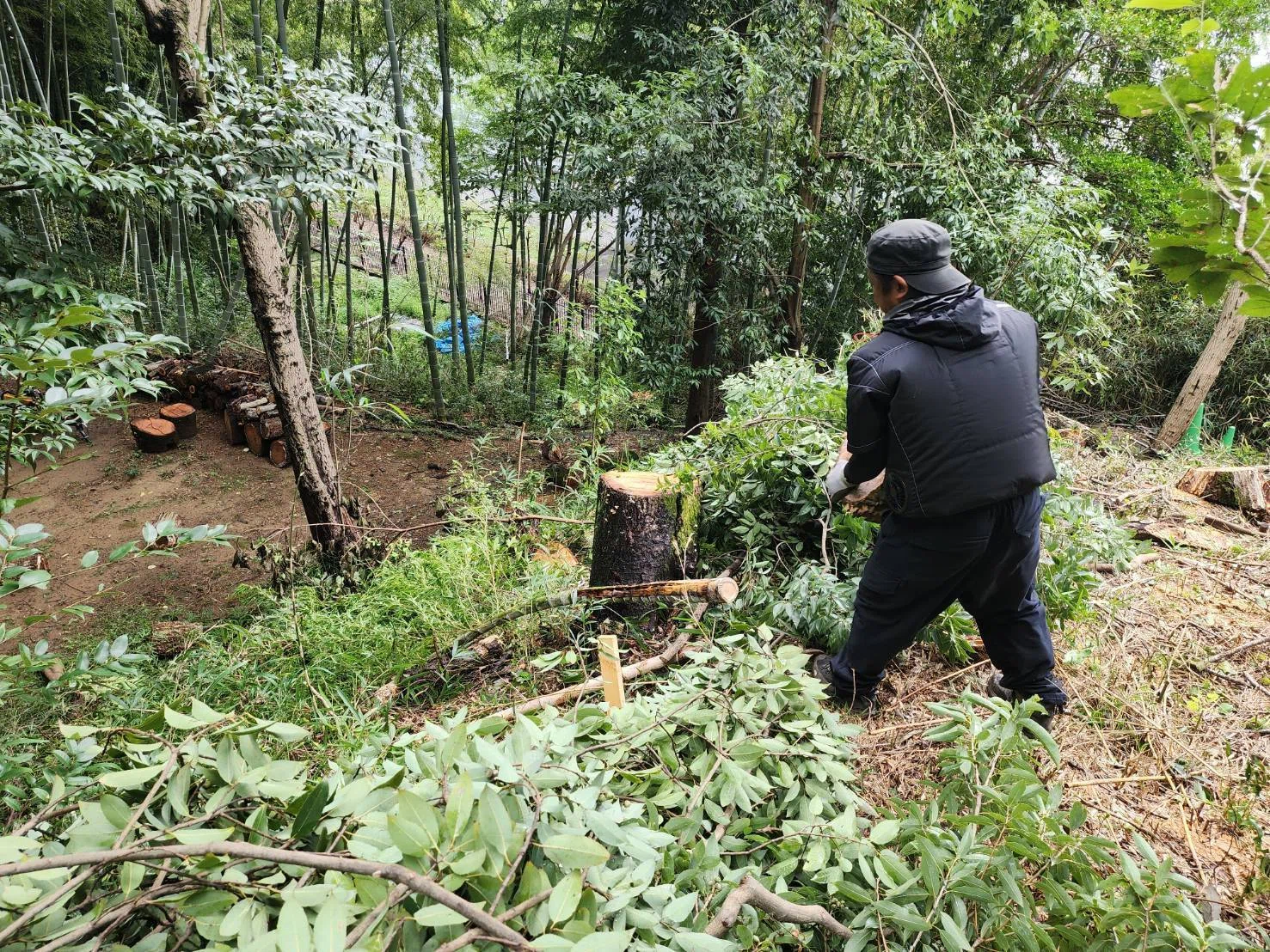 里山整備｜川崎市黒川青少年野外活動センター