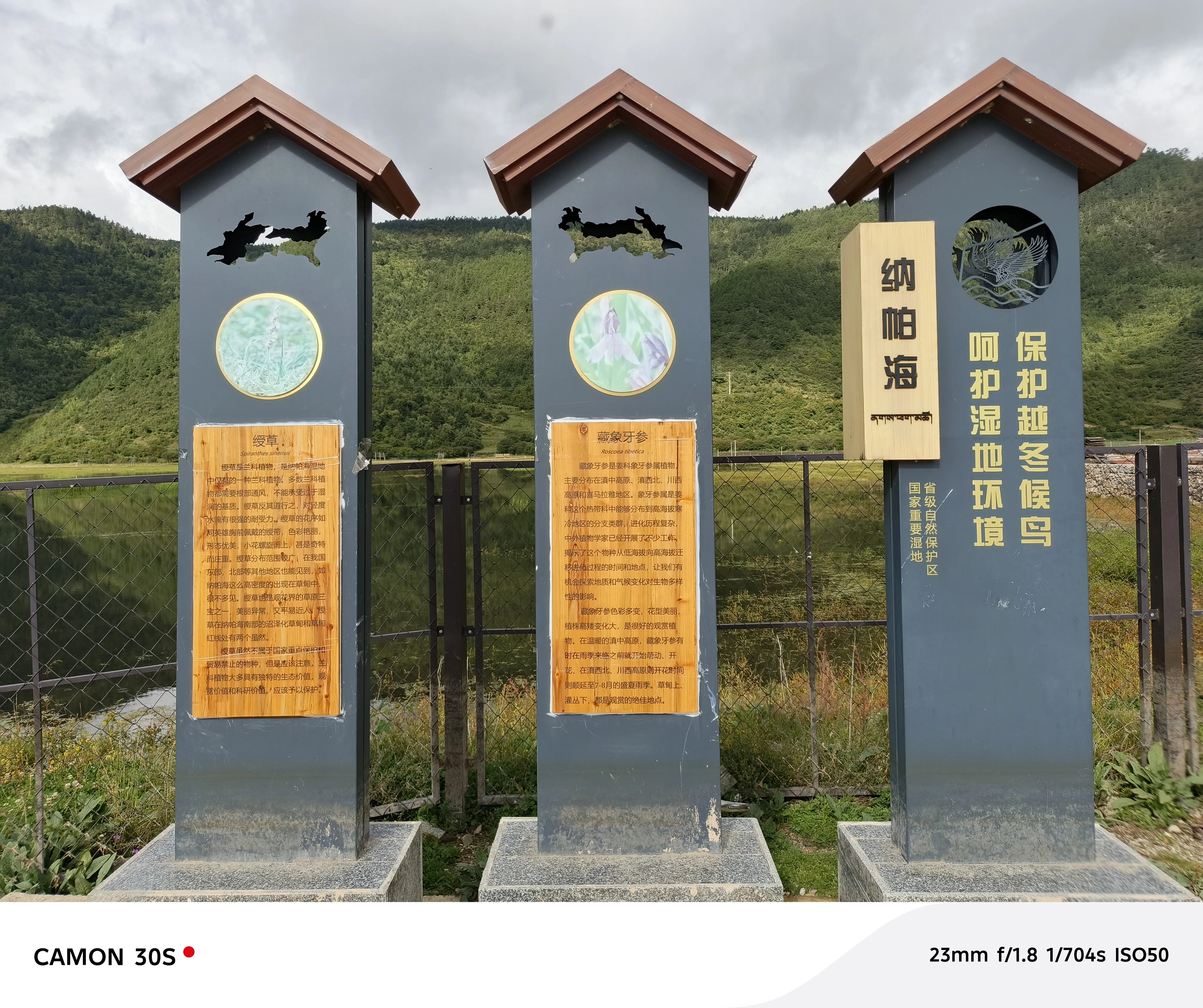 中国旅行】雲南省｜中国のウユニ塩湖？｜香格里拉の納帕海｜Chifuku