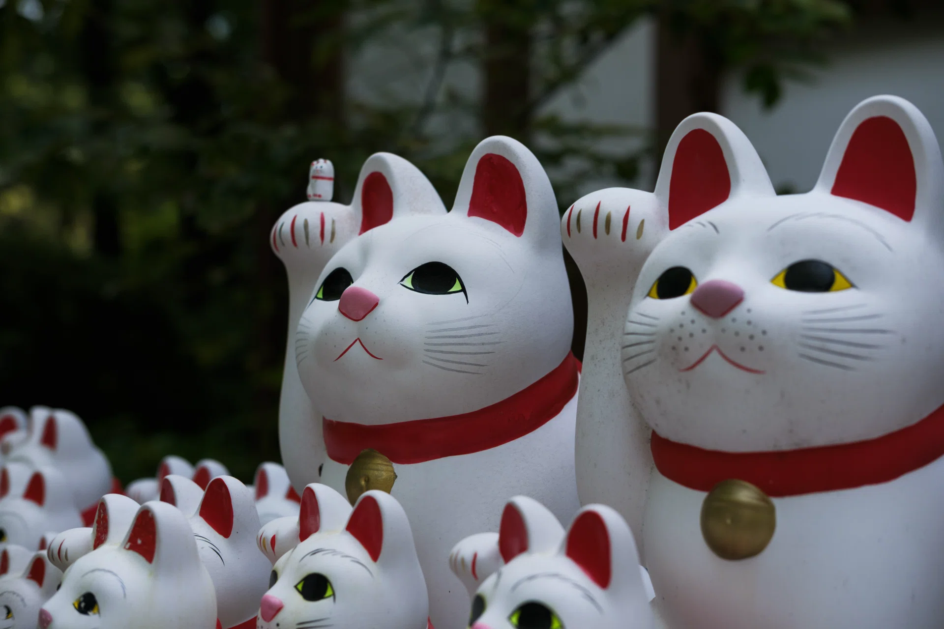 招き猫 | X-T50｜D.E