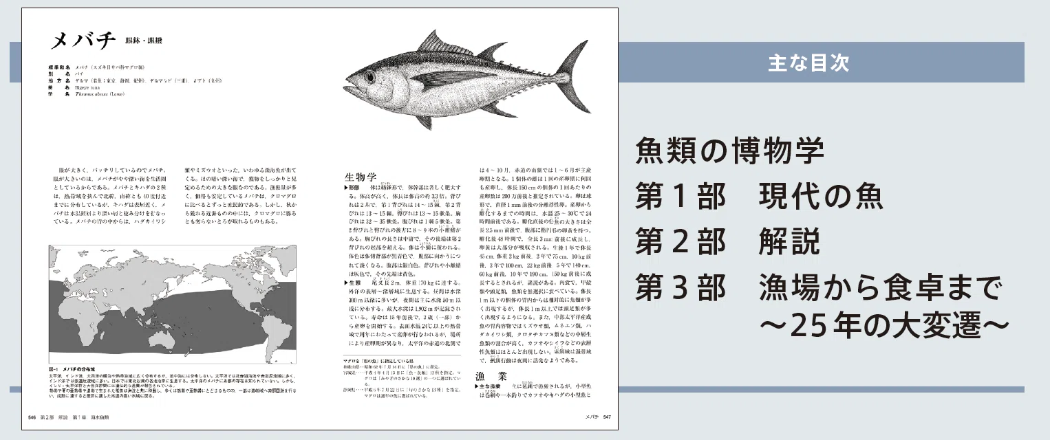 97年 初版 第一刷 現代おさかな事典 漁場から食卓まで NTS INC. 1冊 現代おさかな事典 第二版とは｜1504頁・見開き完結・27年ぶり改訂の